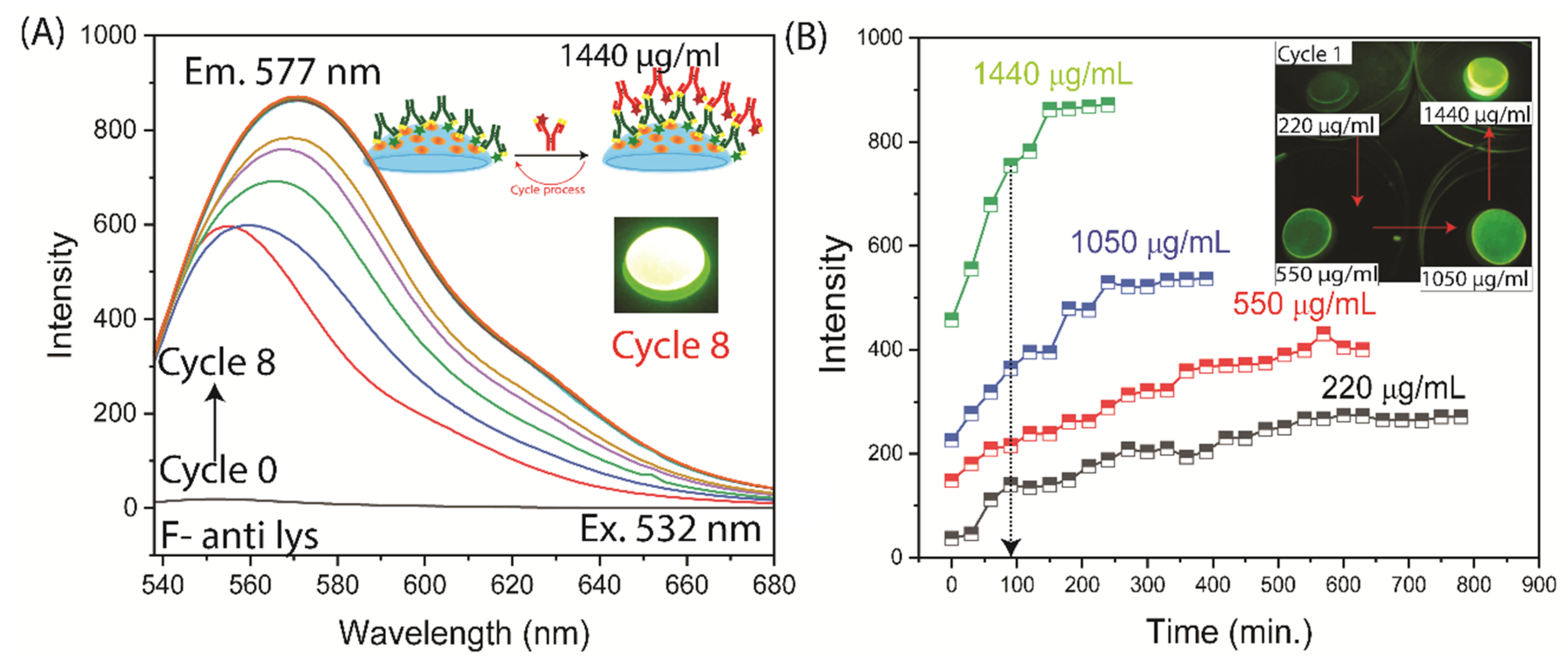 Preprints 155519 g008