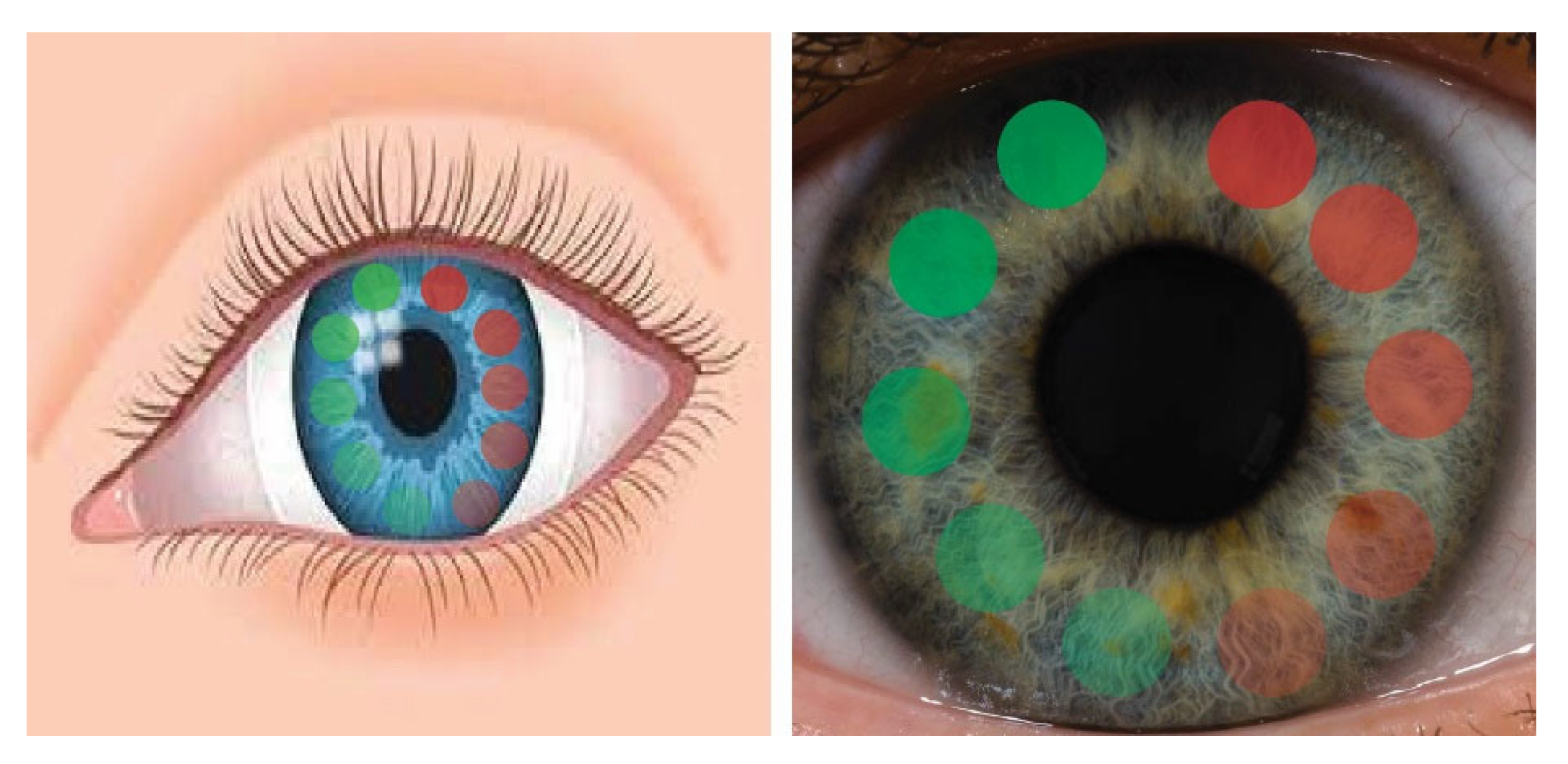 Preprints 155519 g010