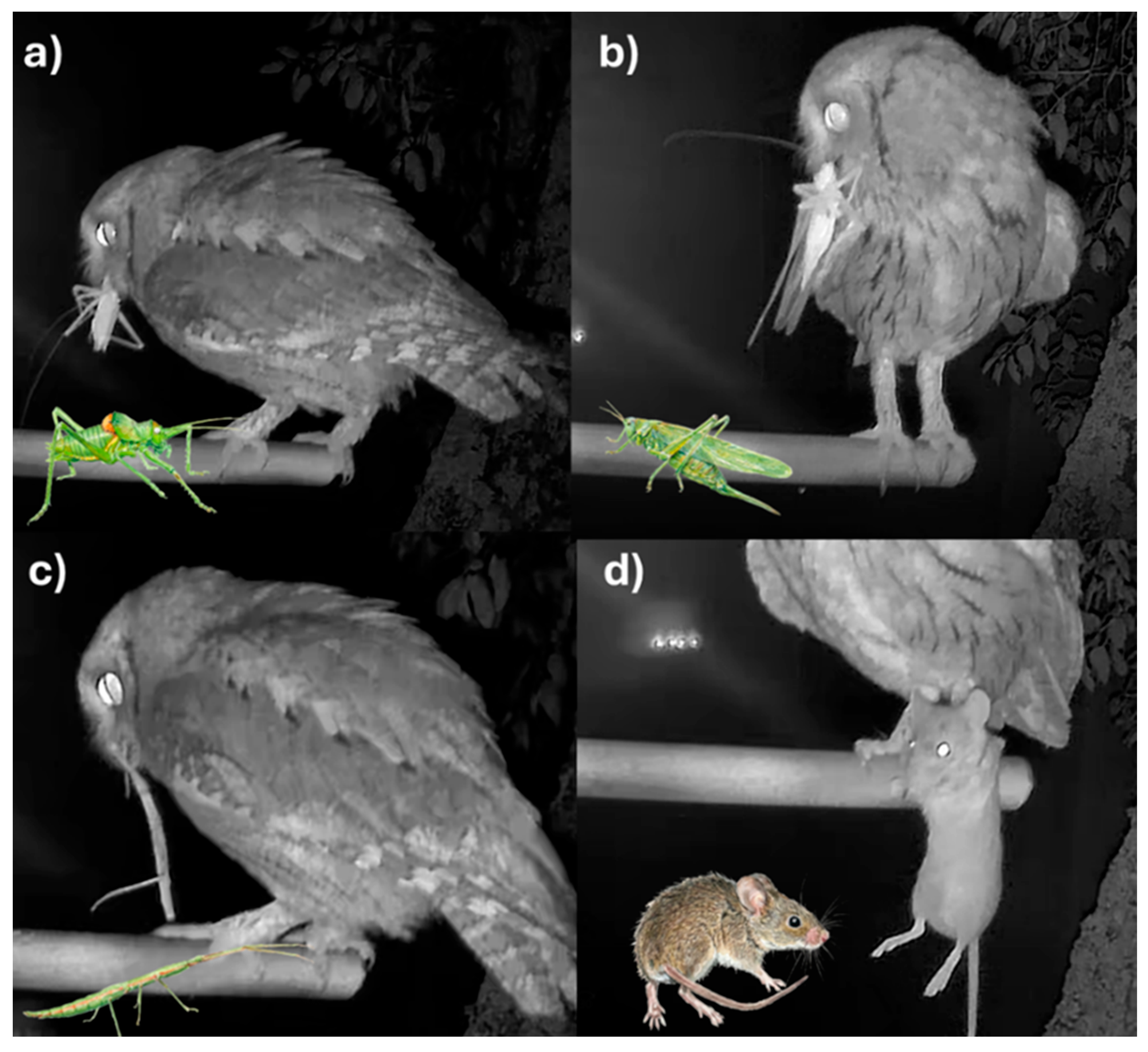 Preprints 190344 g002