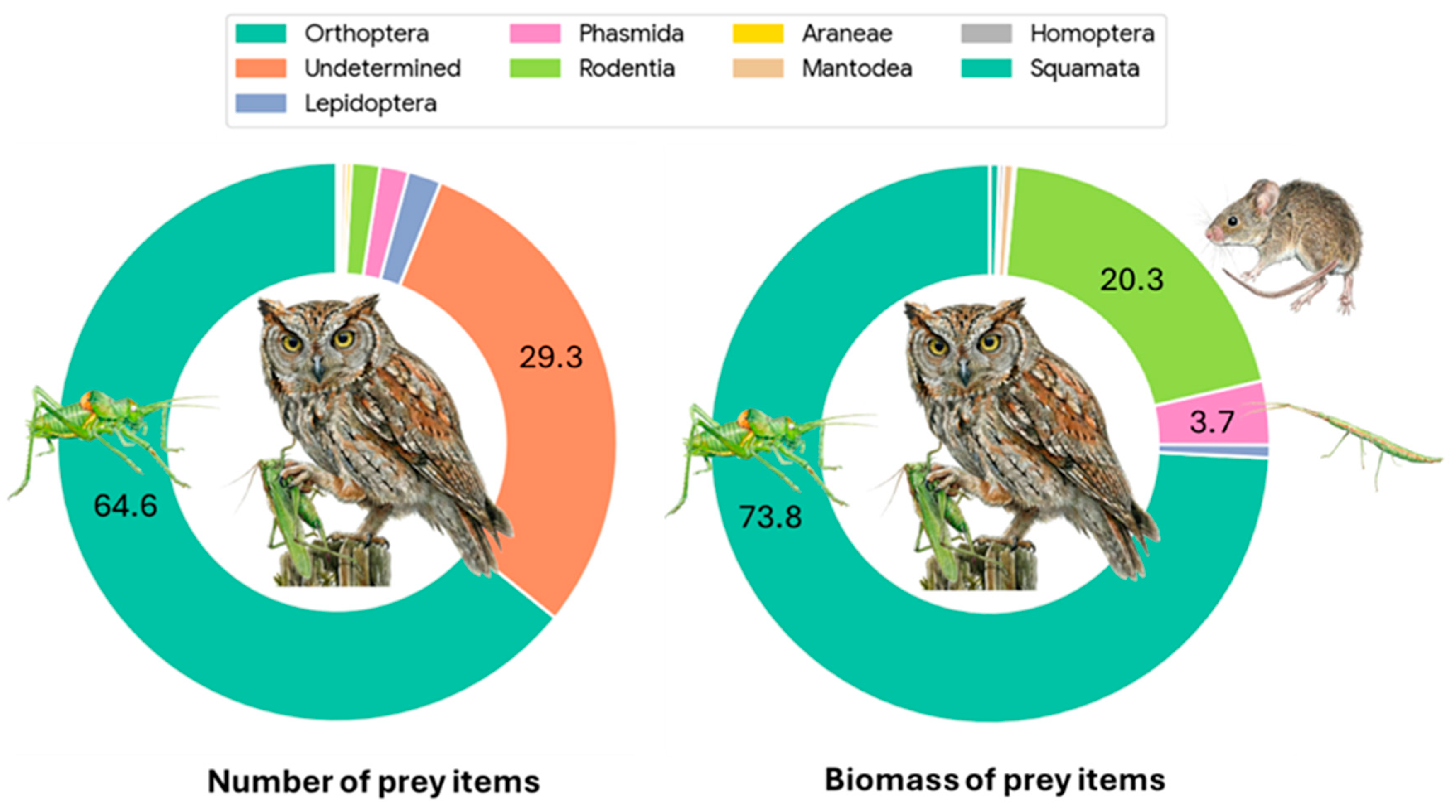 Preprints 190344 g003