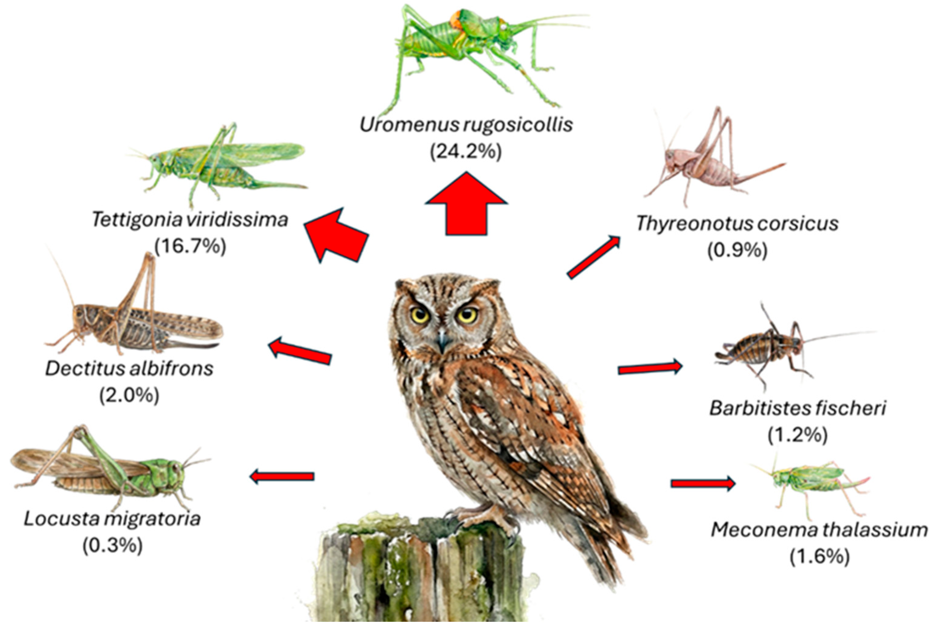 Preprints 190344 g004
