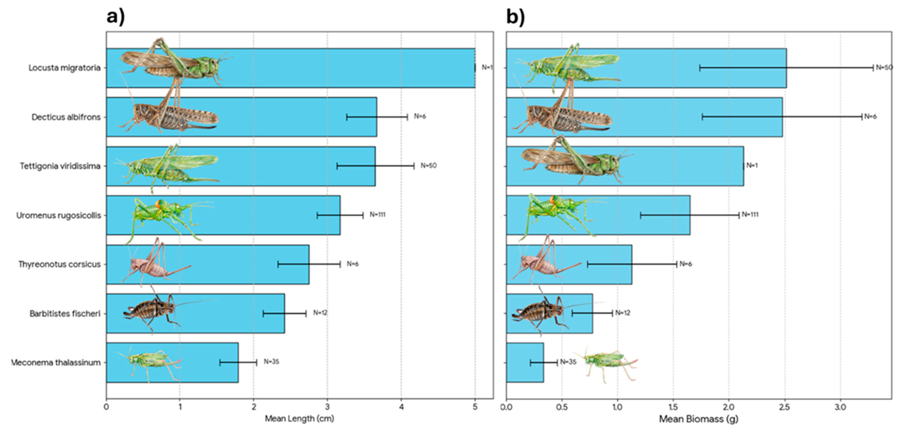 Preprints 190344 g005