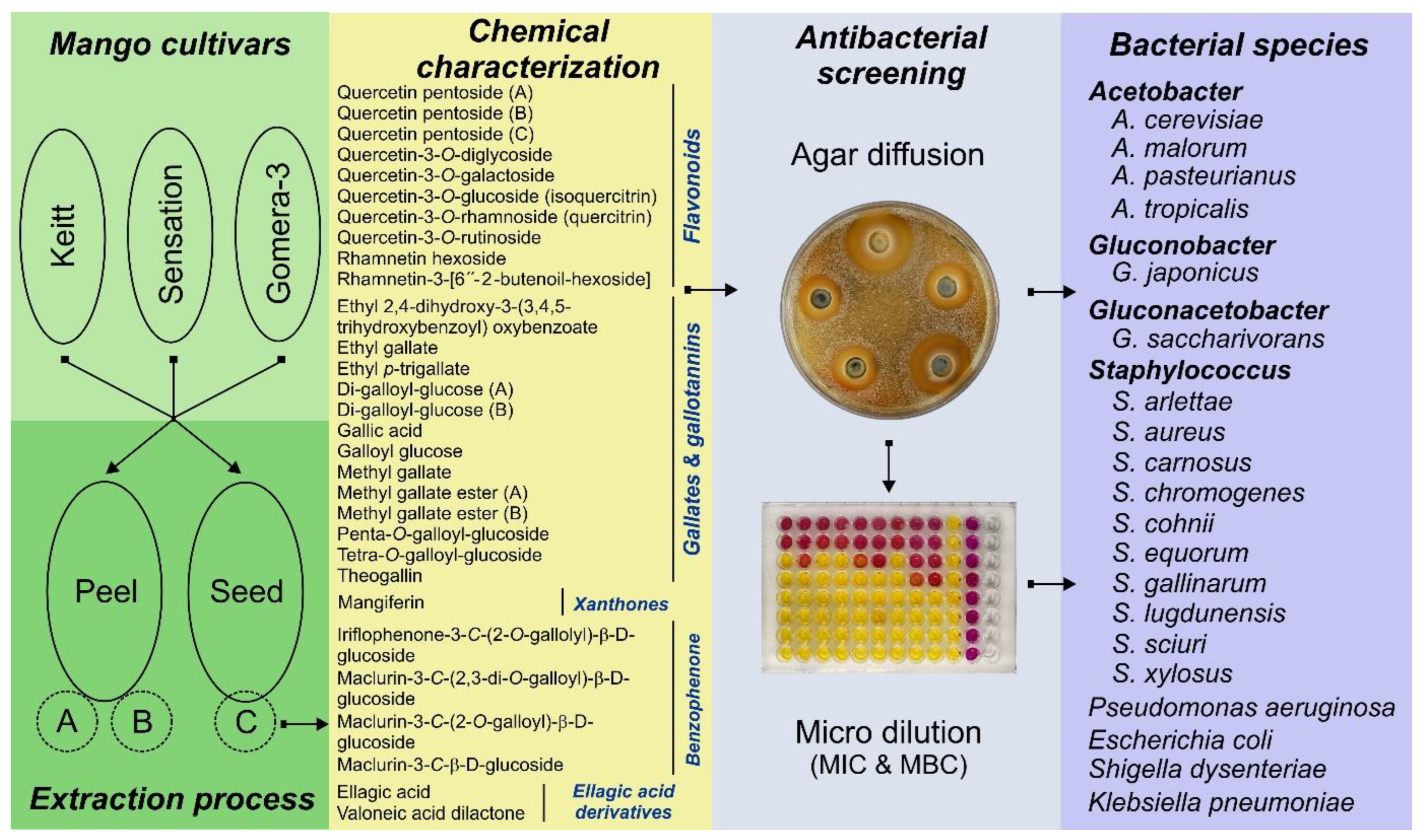 Preprints 155263 g001