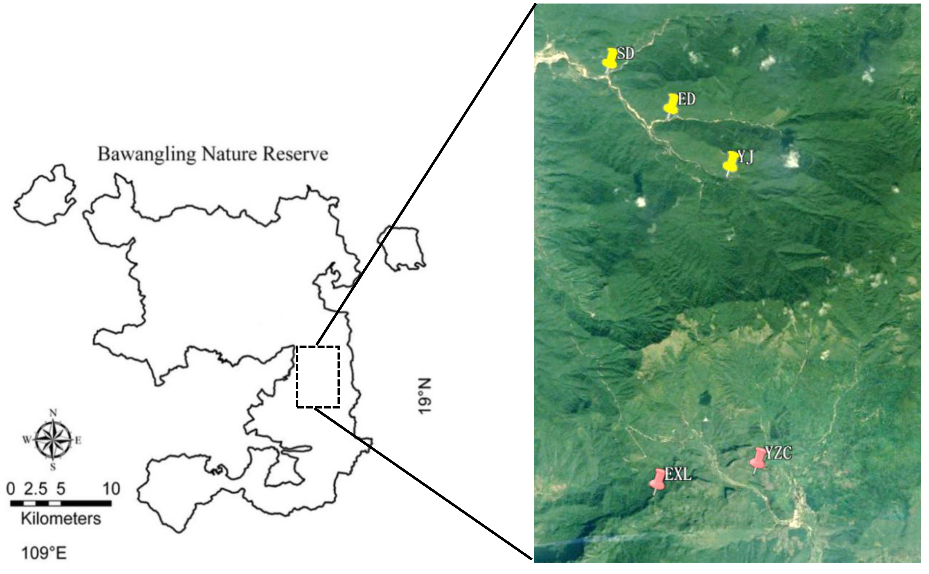 Preprints 183780 g002