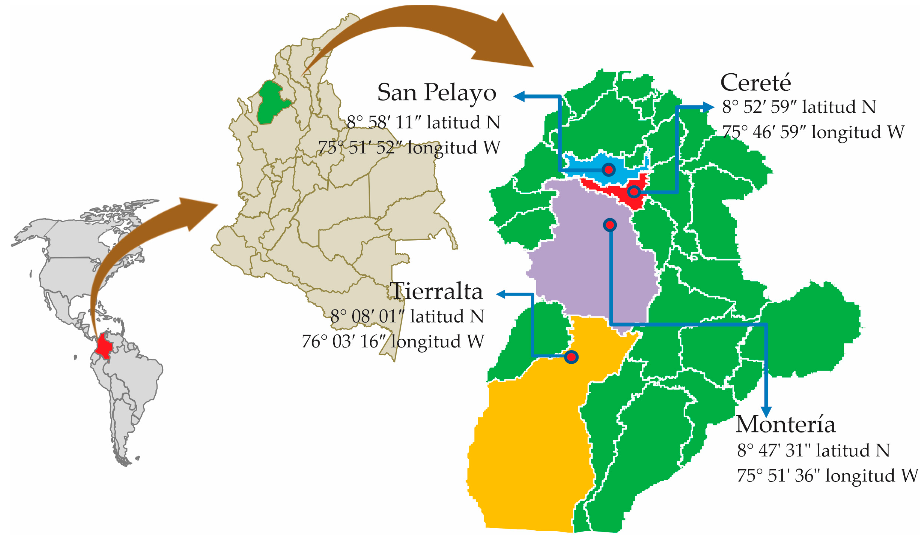 Preprints 82244 g001