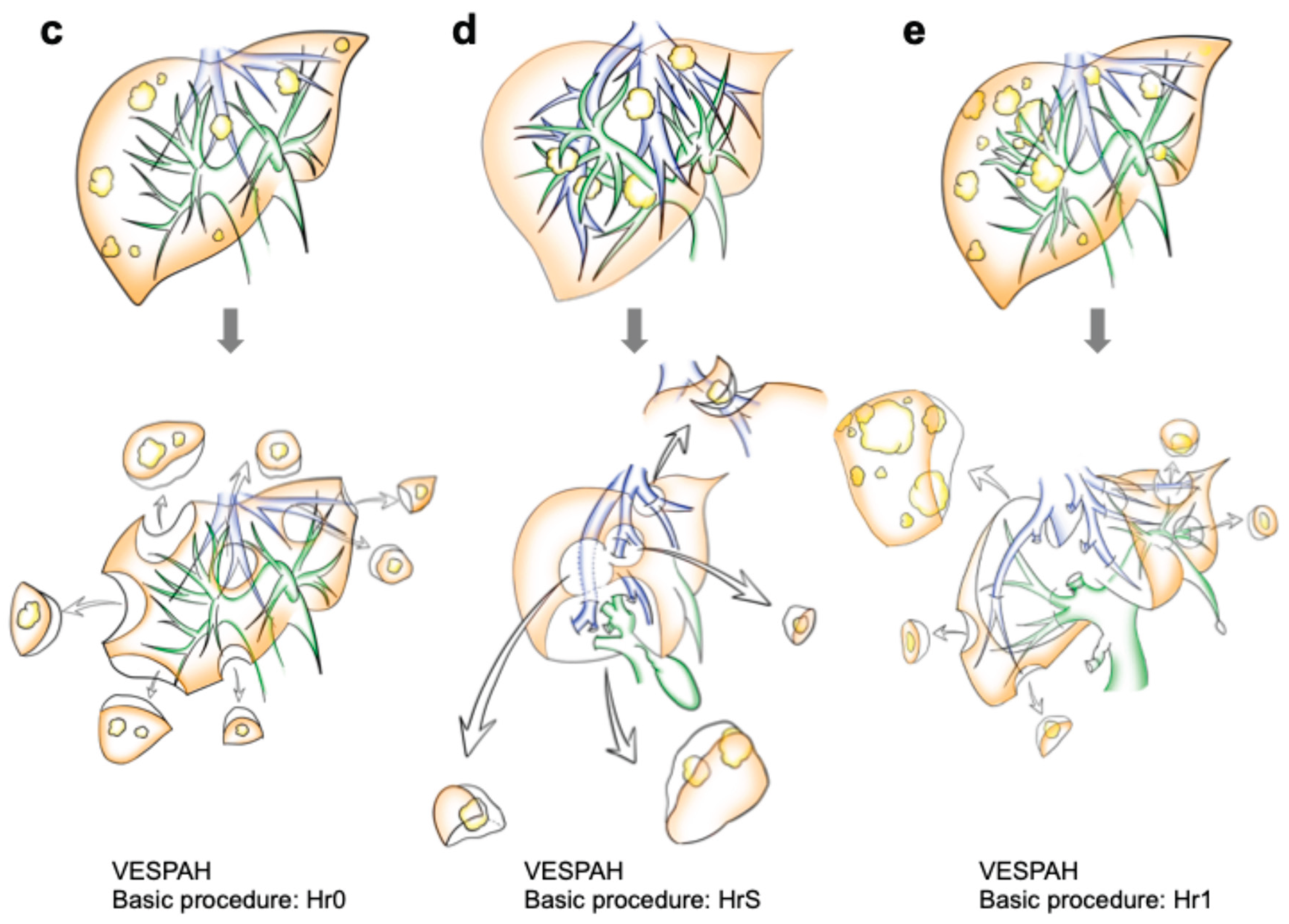 Preprints 235550 g003b