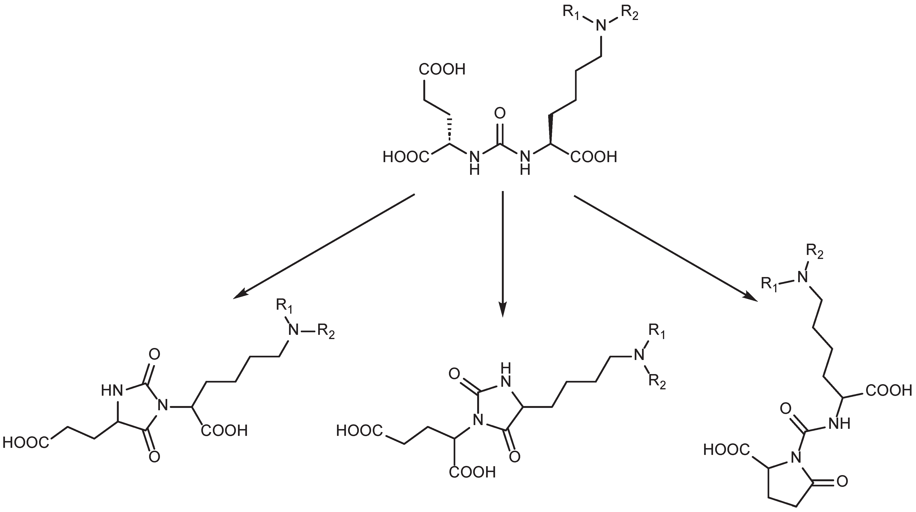 Preprints 188495 g005