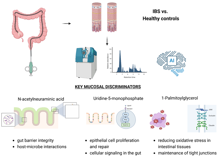 Preprints 148727 i001