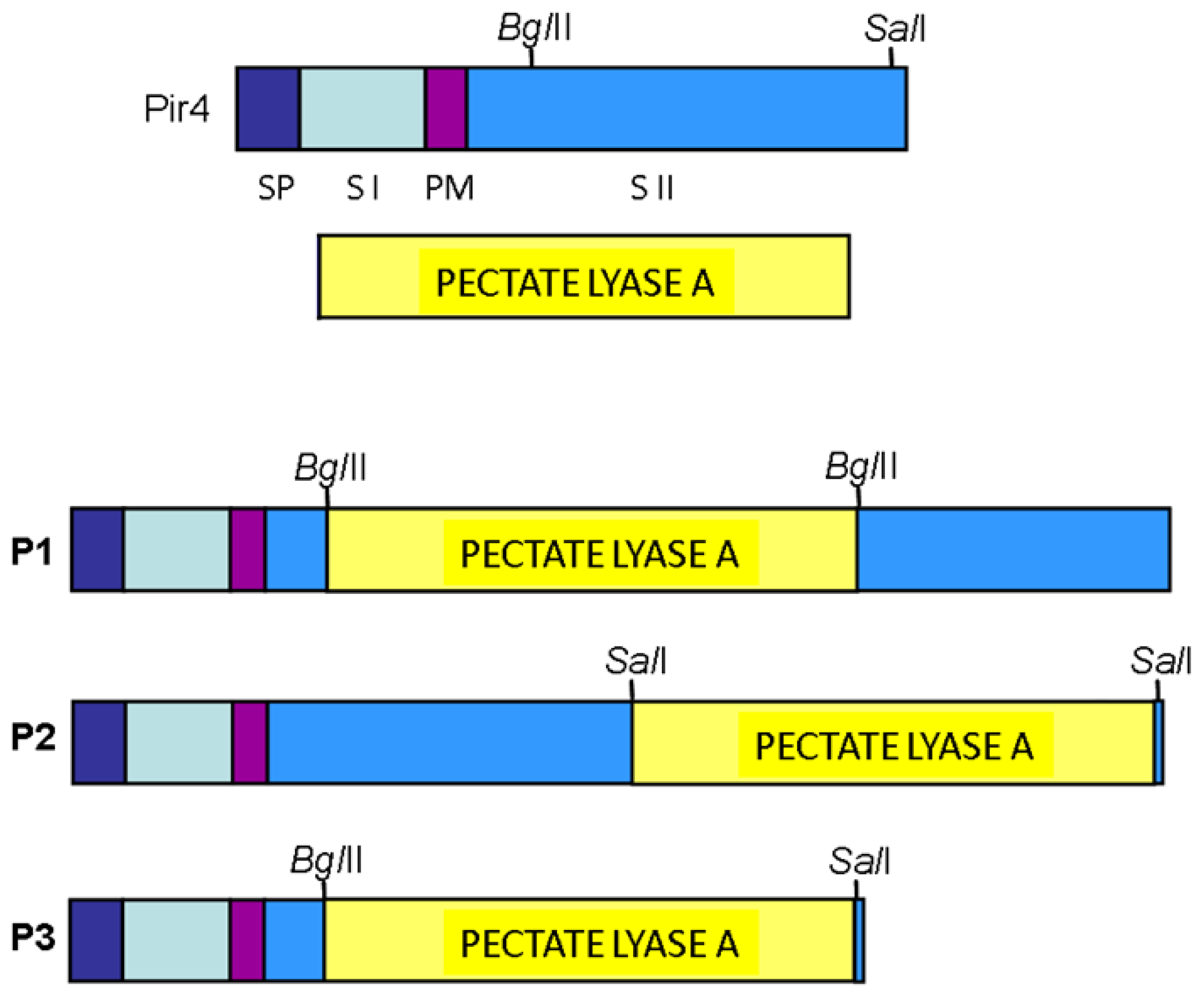 Preprints 205987 g001