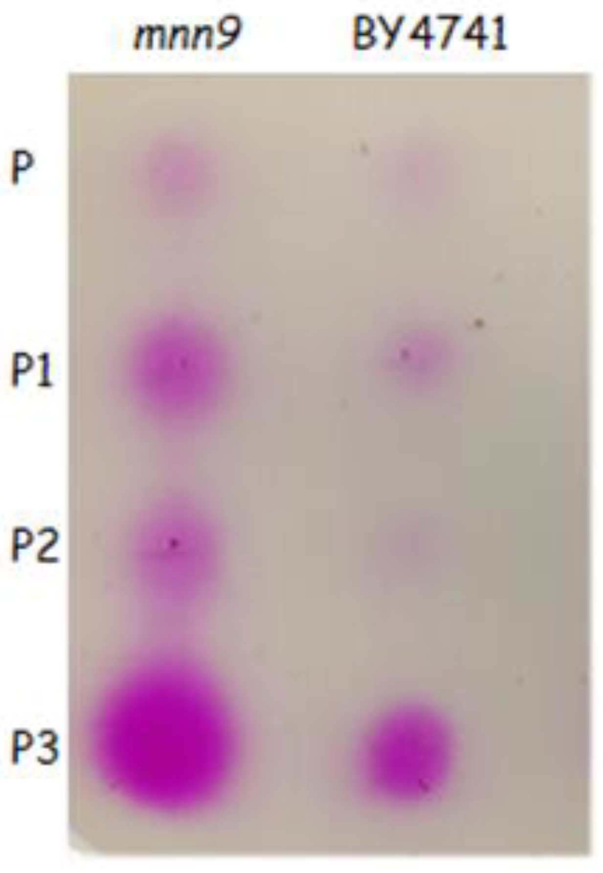 Preprints 205987 g002