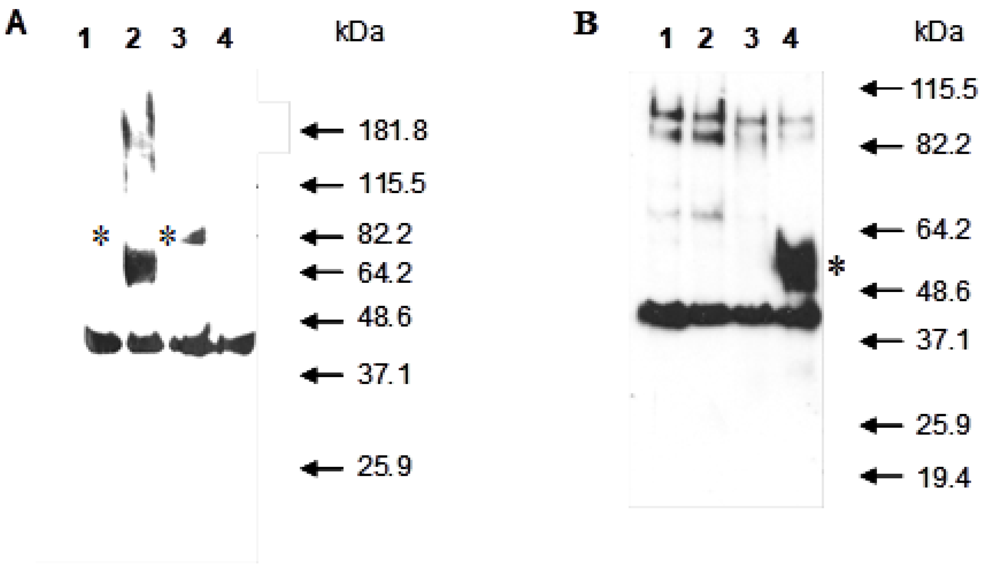 Preprints 205987 g003
