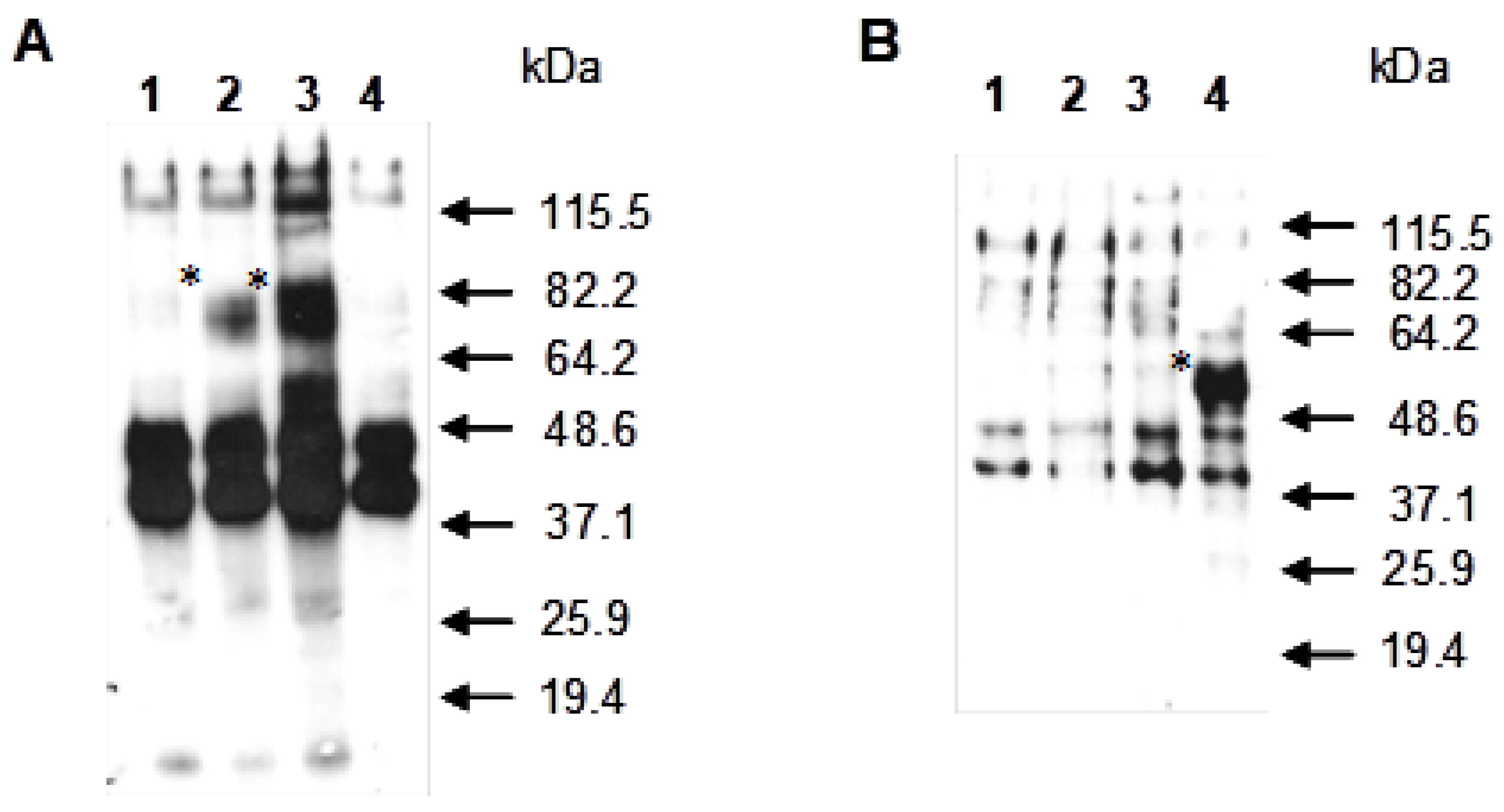 Preprints 205987 g004