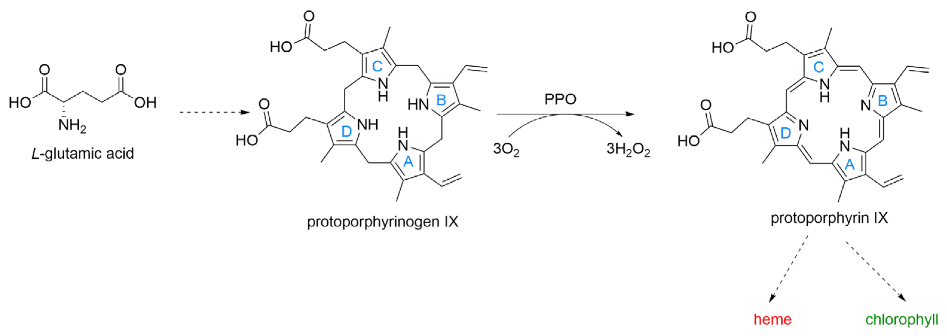 Preprints 200936 g001