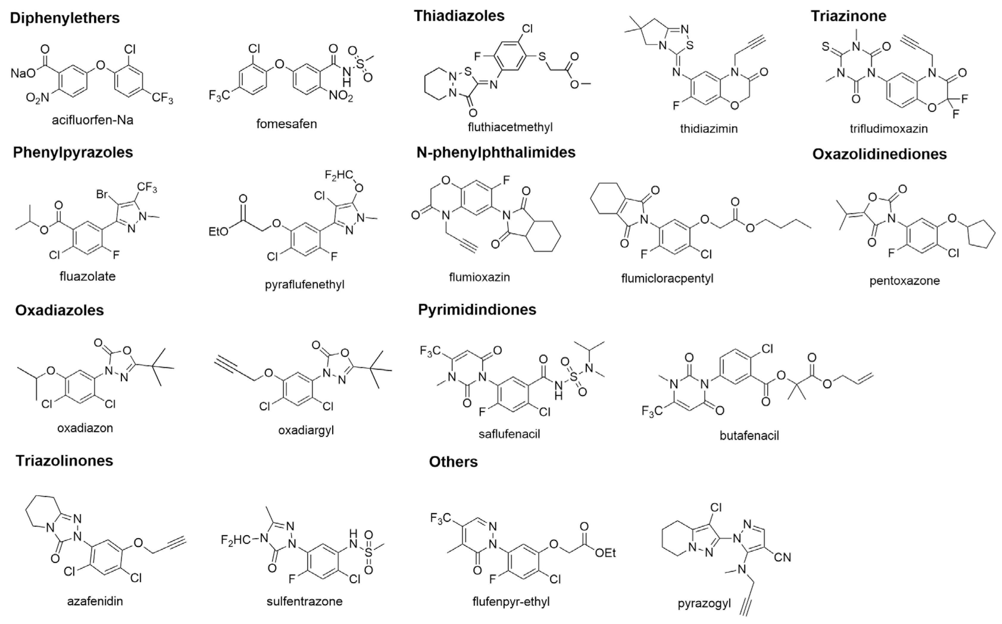 Preprints 200936 g002