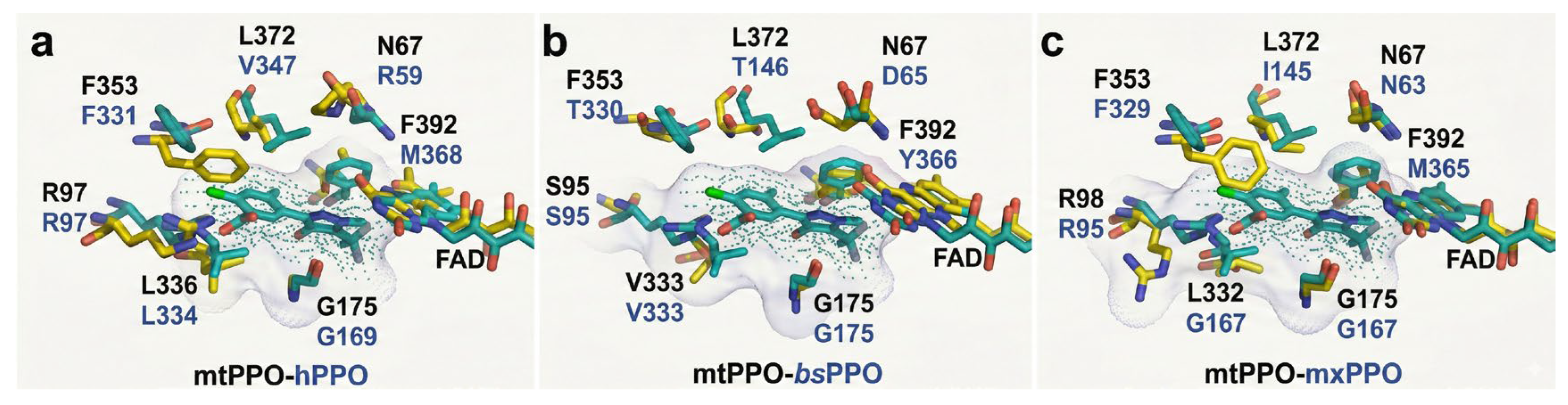 Preprints 200936 g003