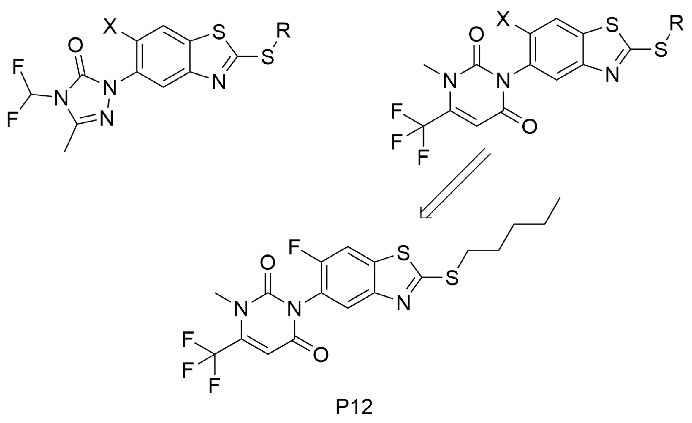 Preprints 200936 g006