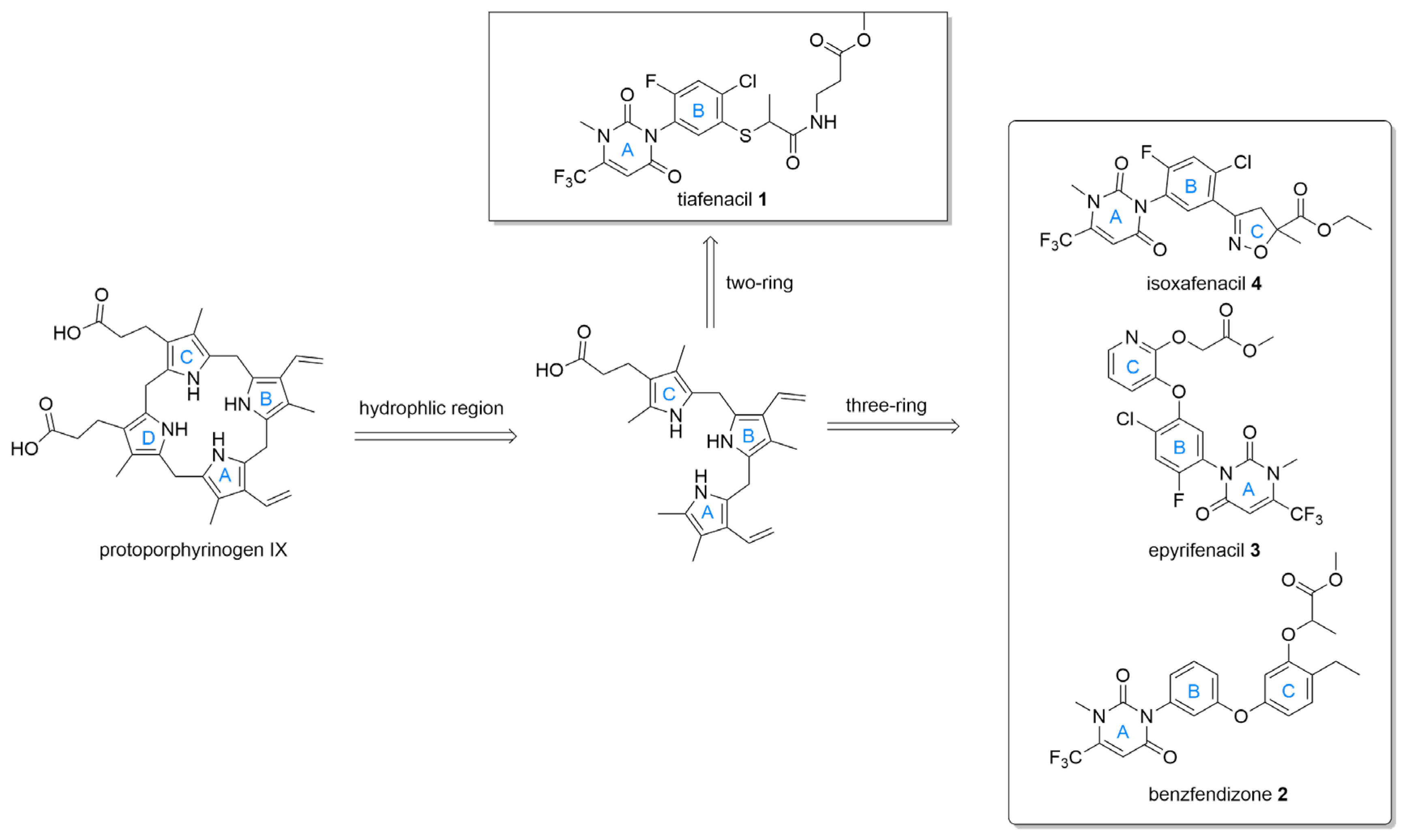 Preprints 200936 g007