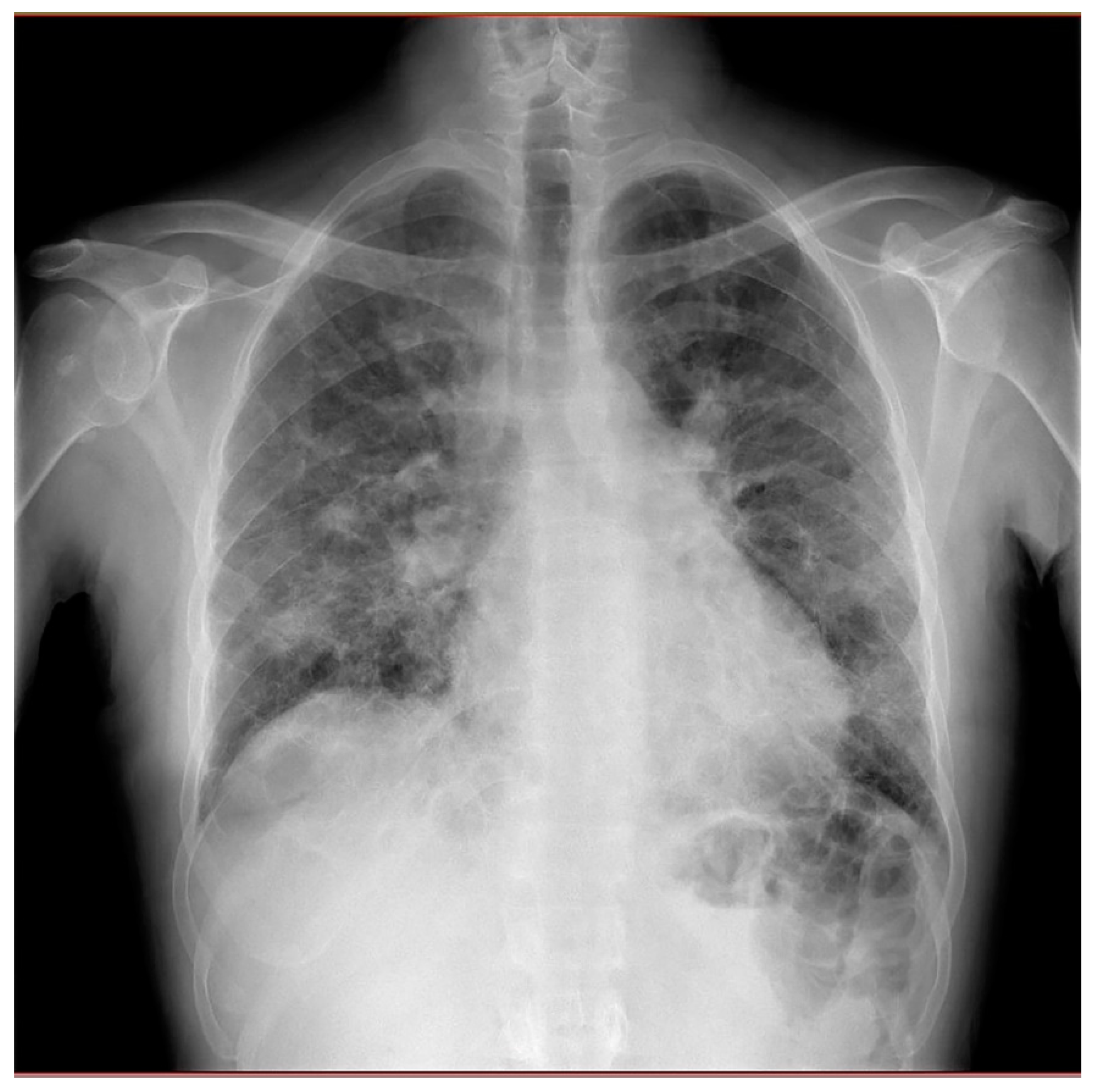 Preprints 150406 g002