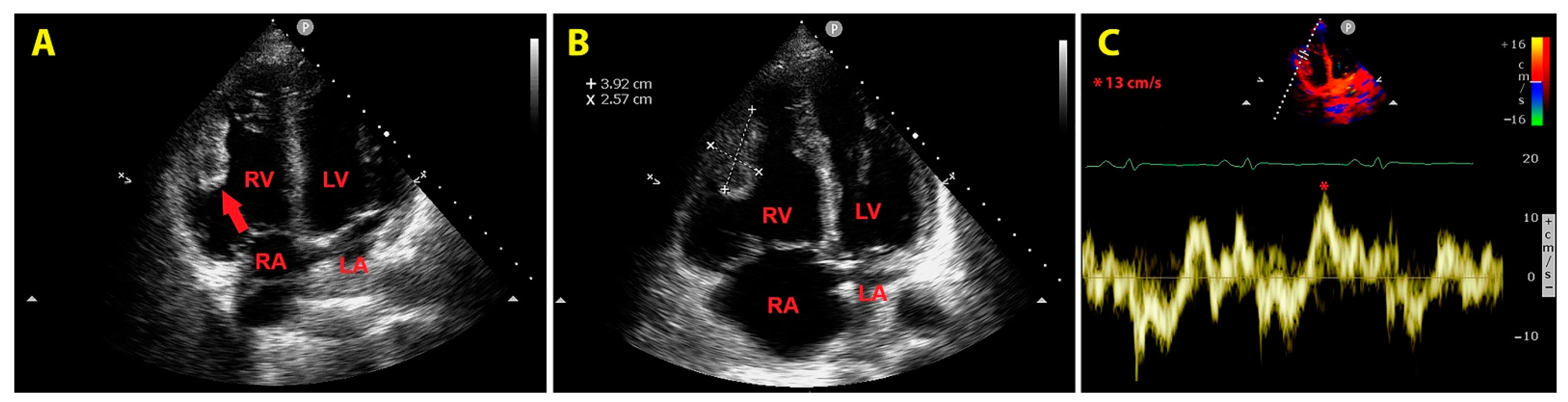 Preprints 150406 g003