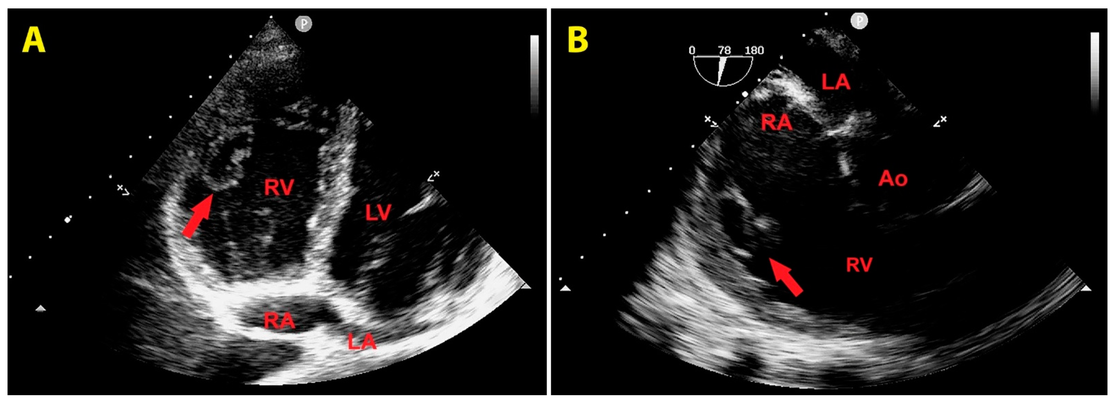 Preprints 150406 g005