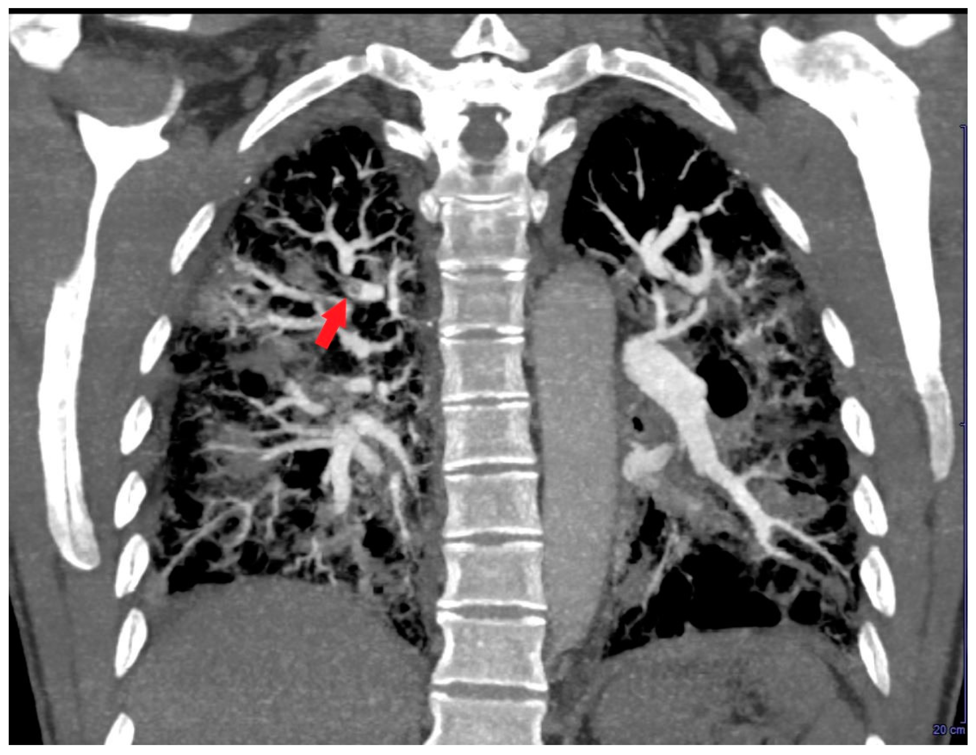 Preprints 150406 g006