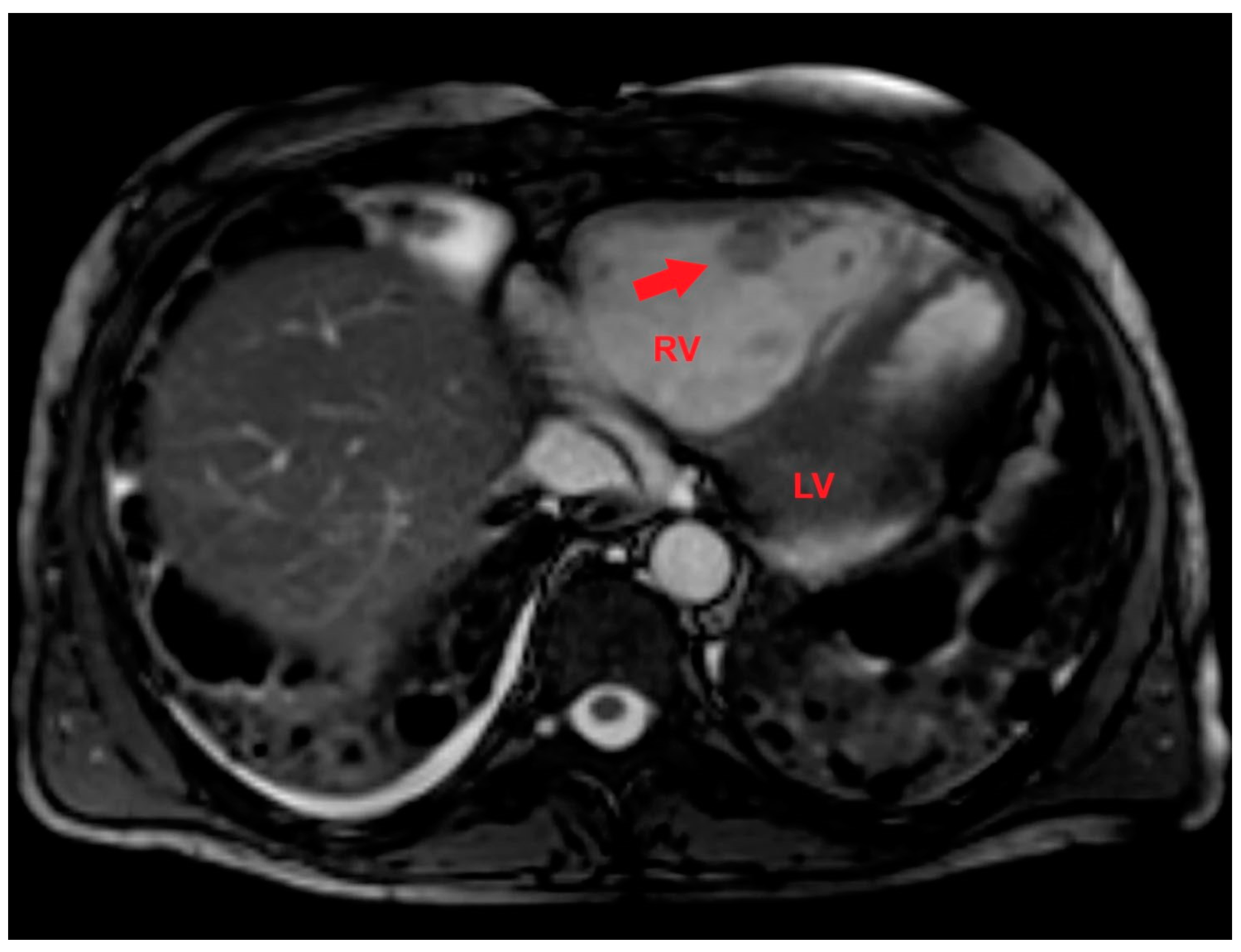 Preprints 150406 g007