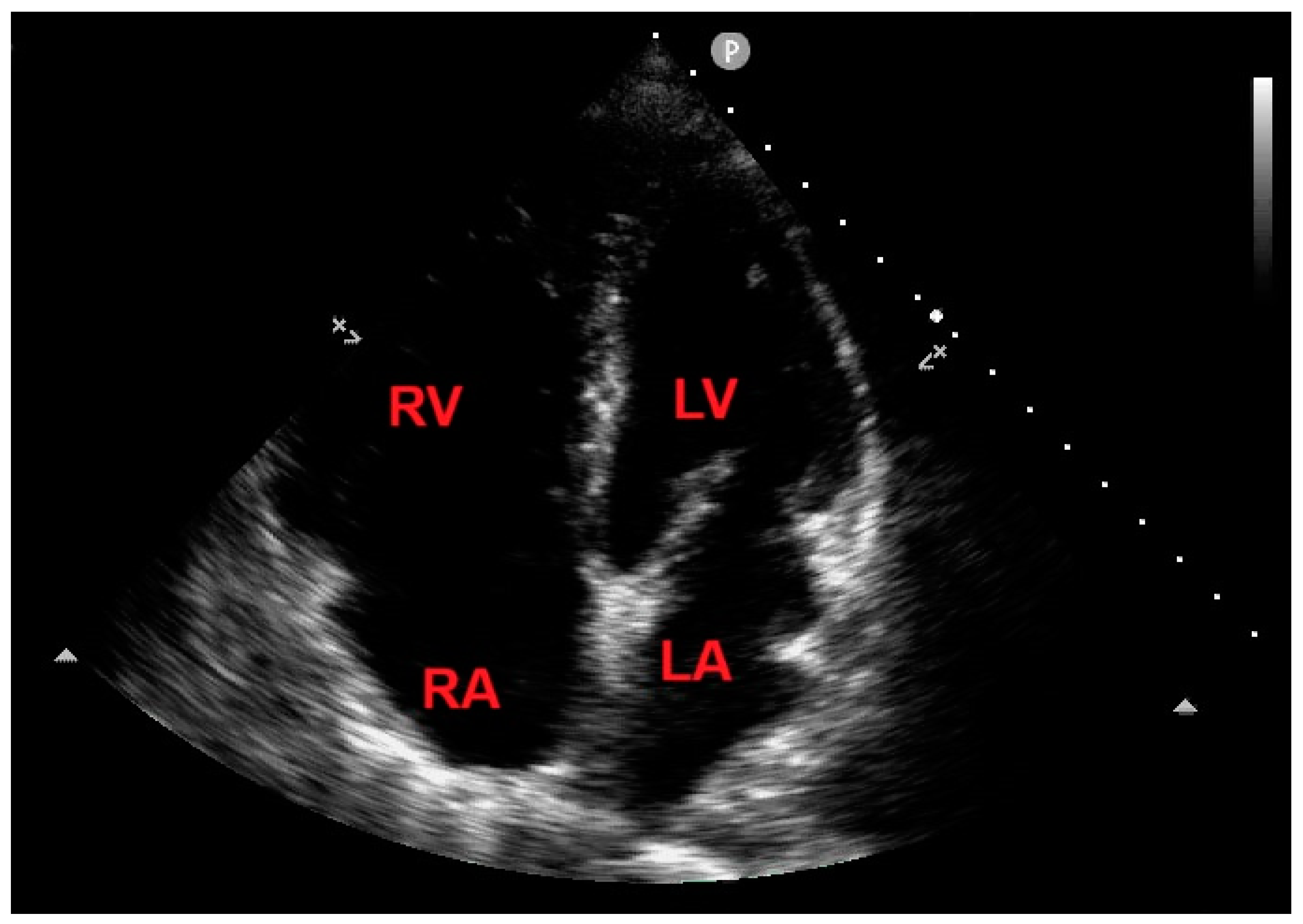 Preprints 150406 g008