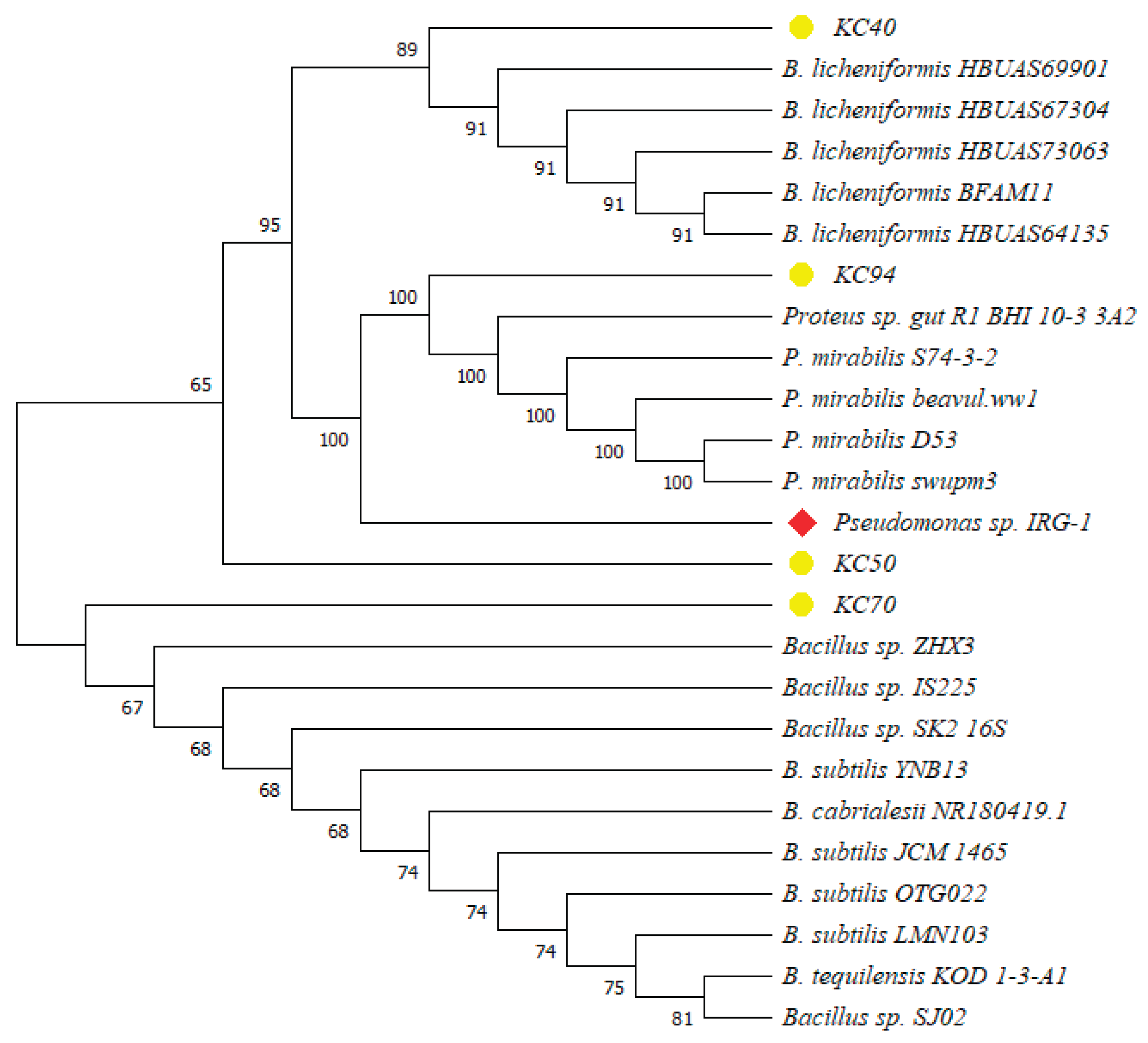 Preprints 175456 g001