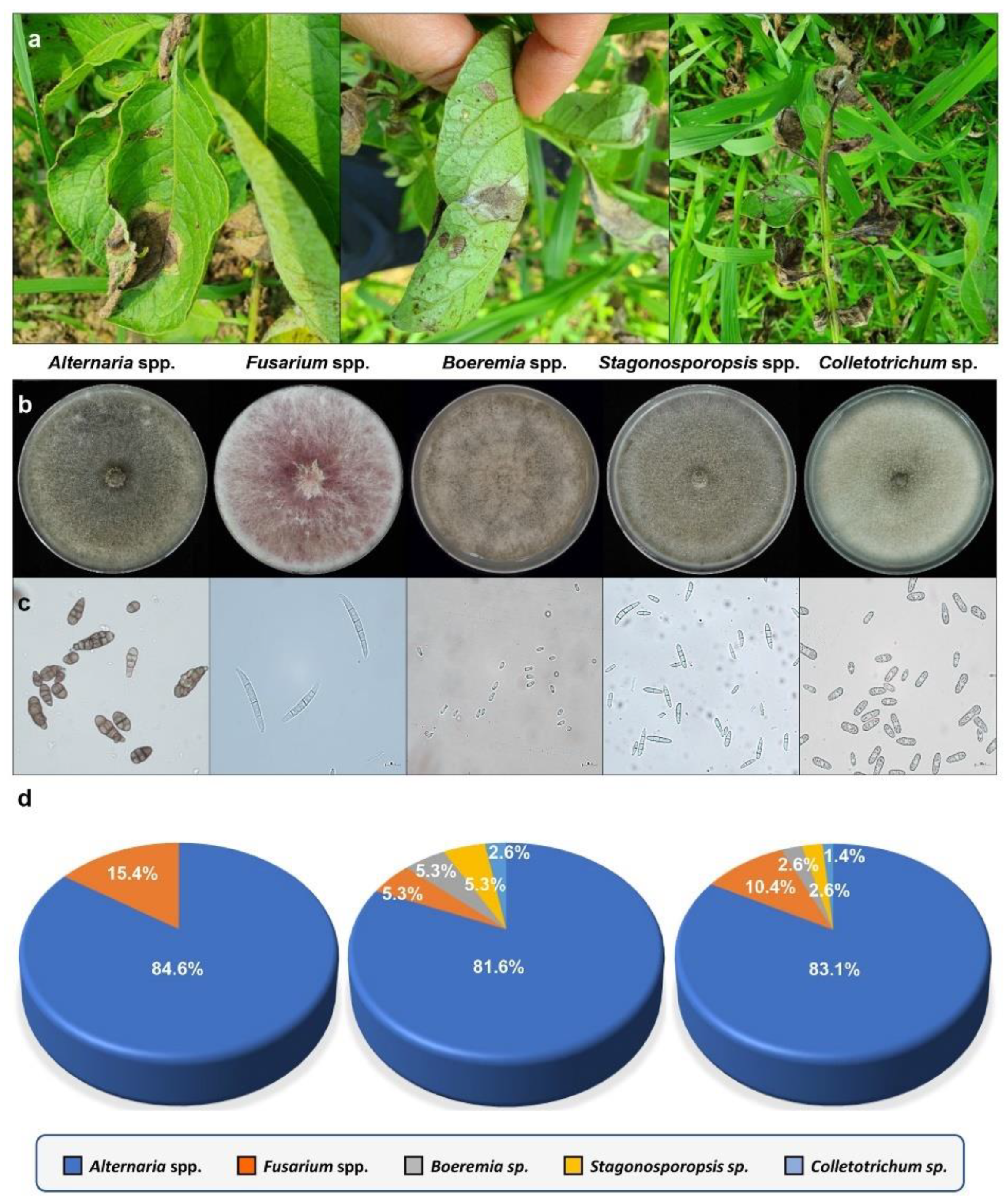 Preprints 93386 g001