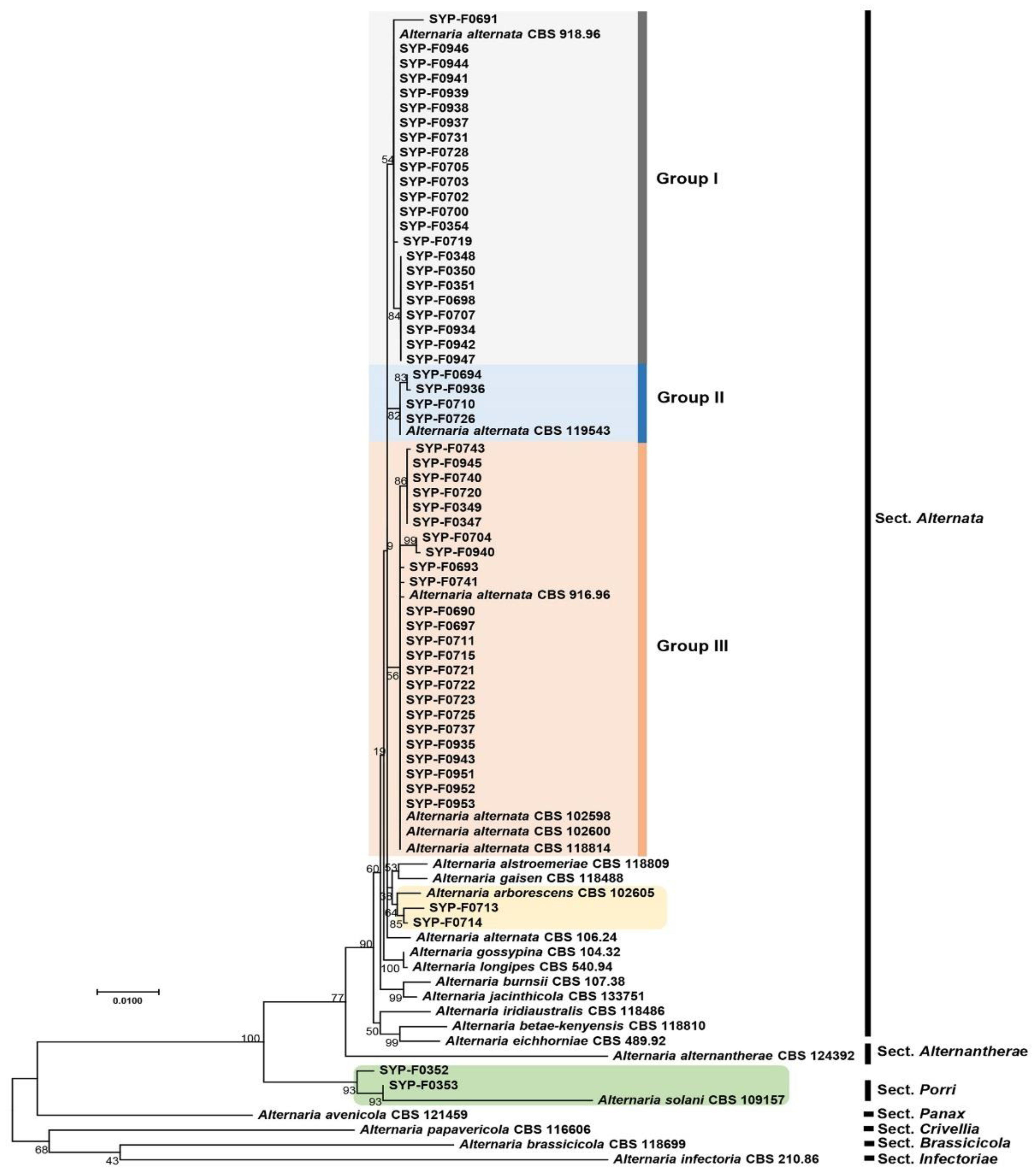 Preprints 93386 g002