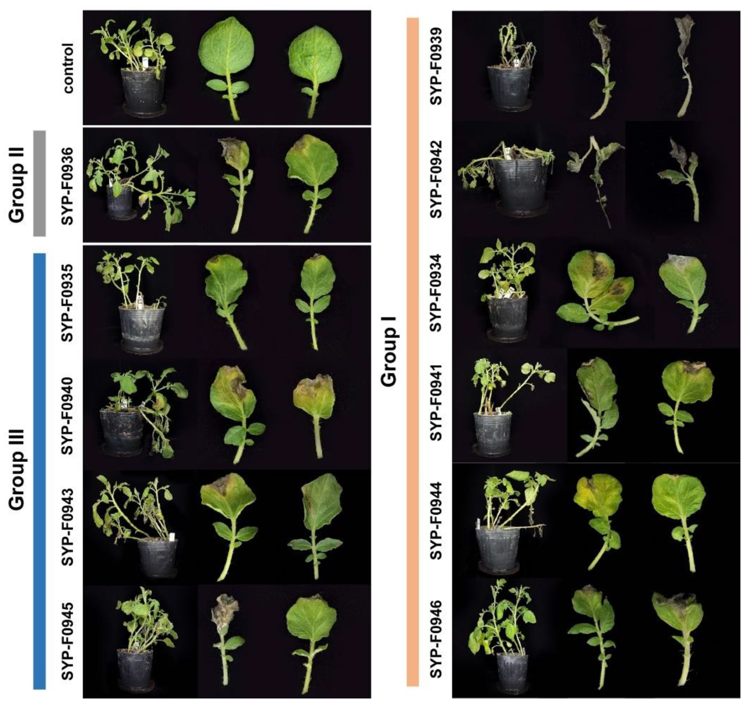 Preprints 93386 g003