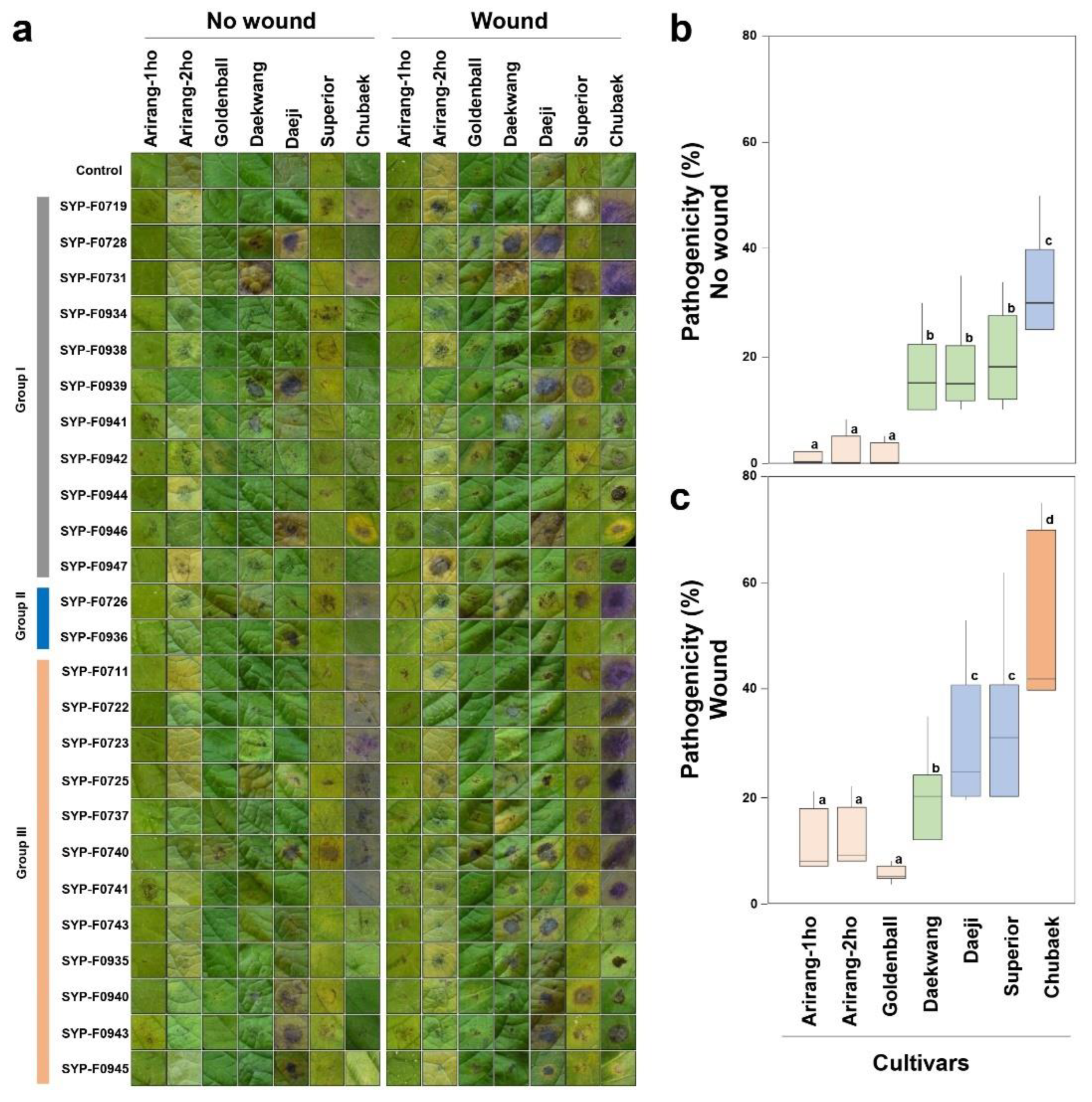 Preprints 93386 g004