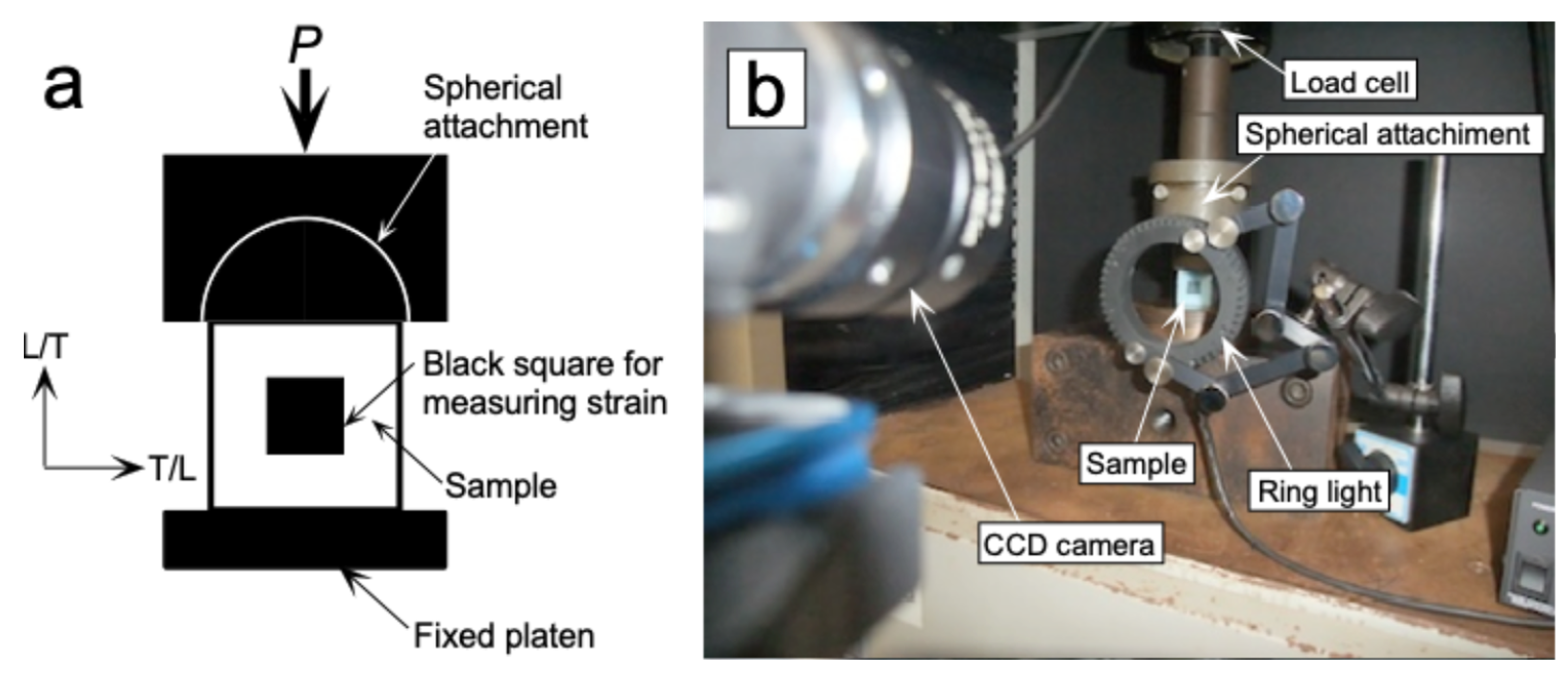 Preprints 182446 g005