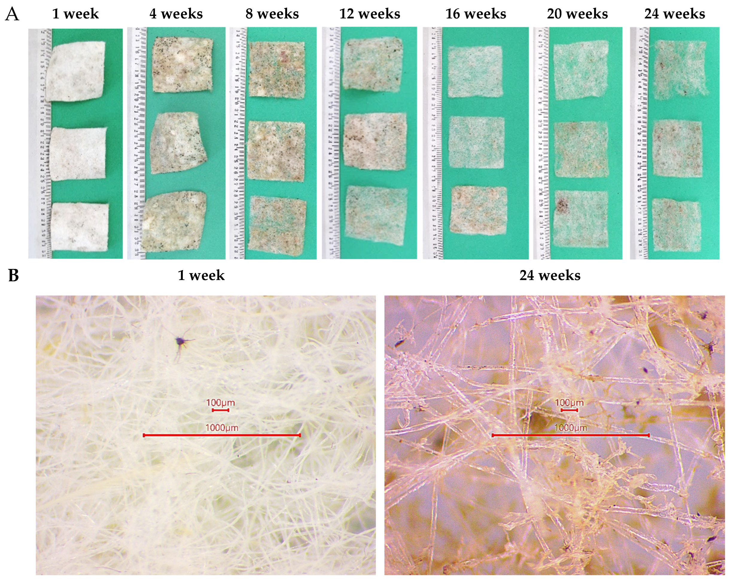 Preprints 147452 g003