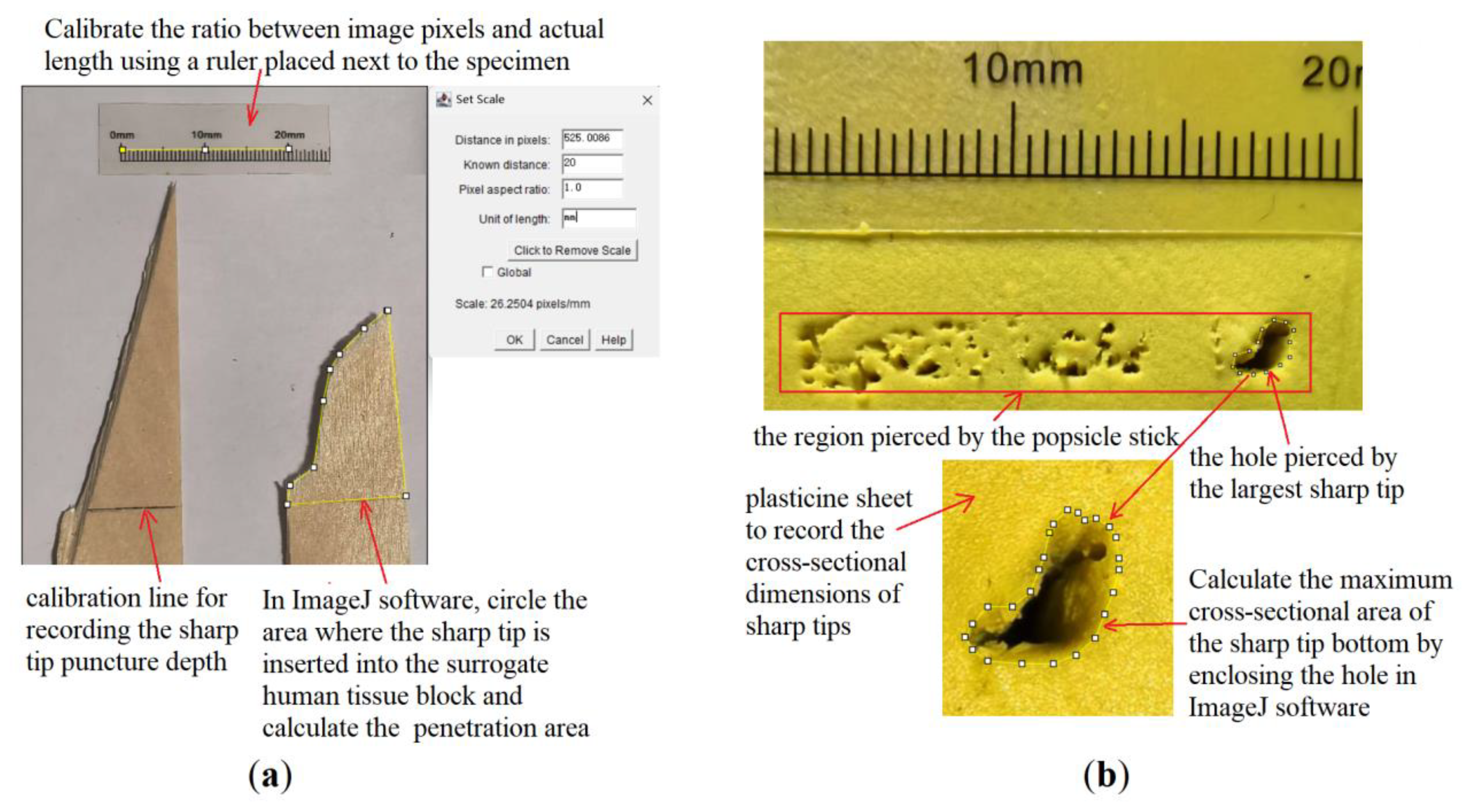 Preprints 206829 g004