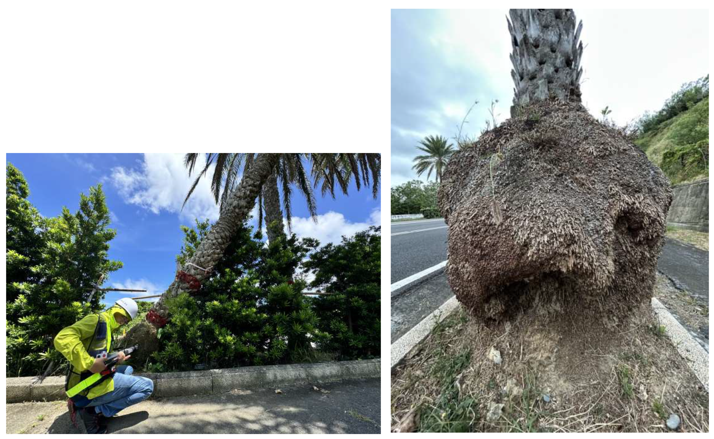 Preprints 150143 g001