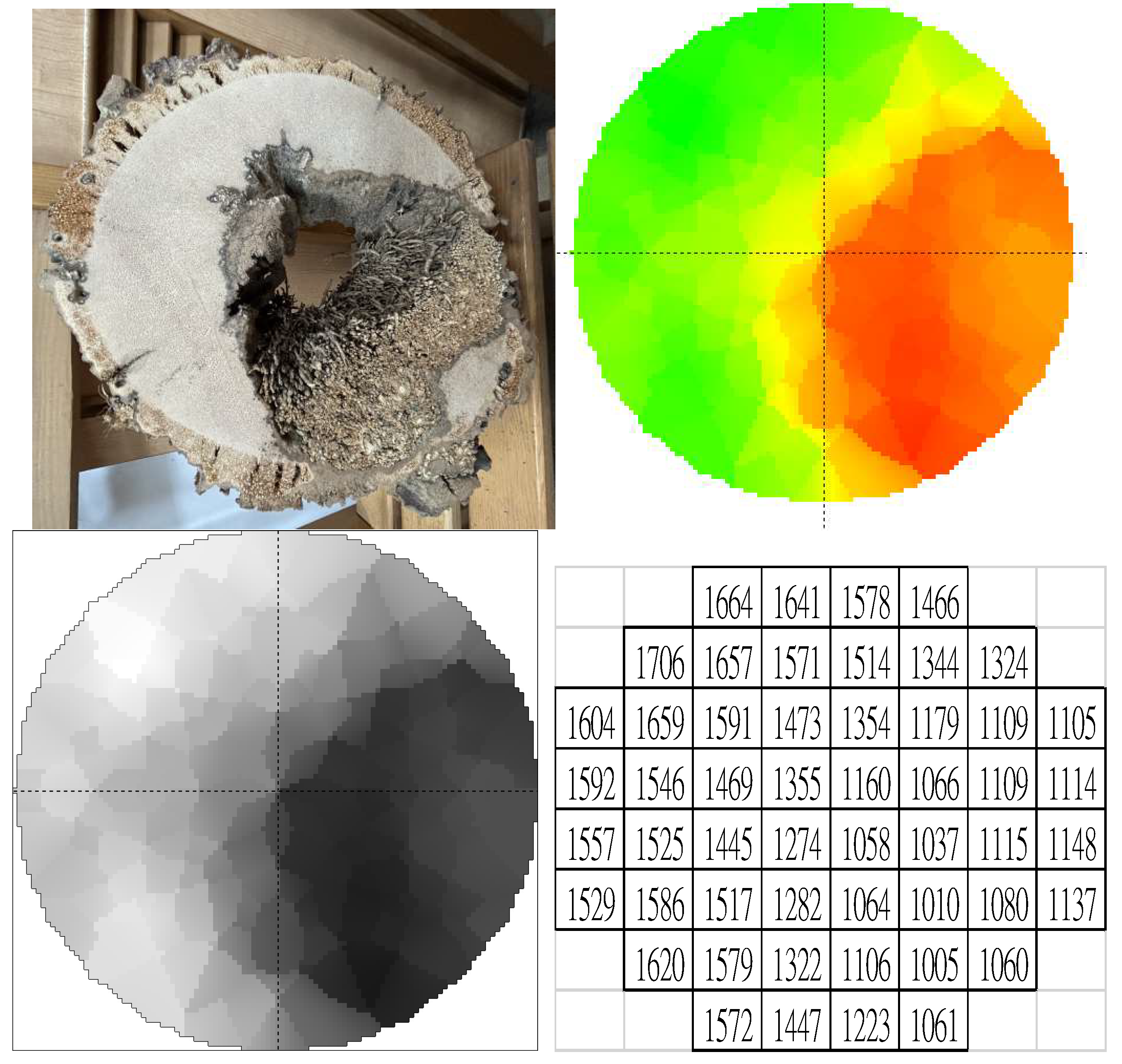 Preprints 150143 g003