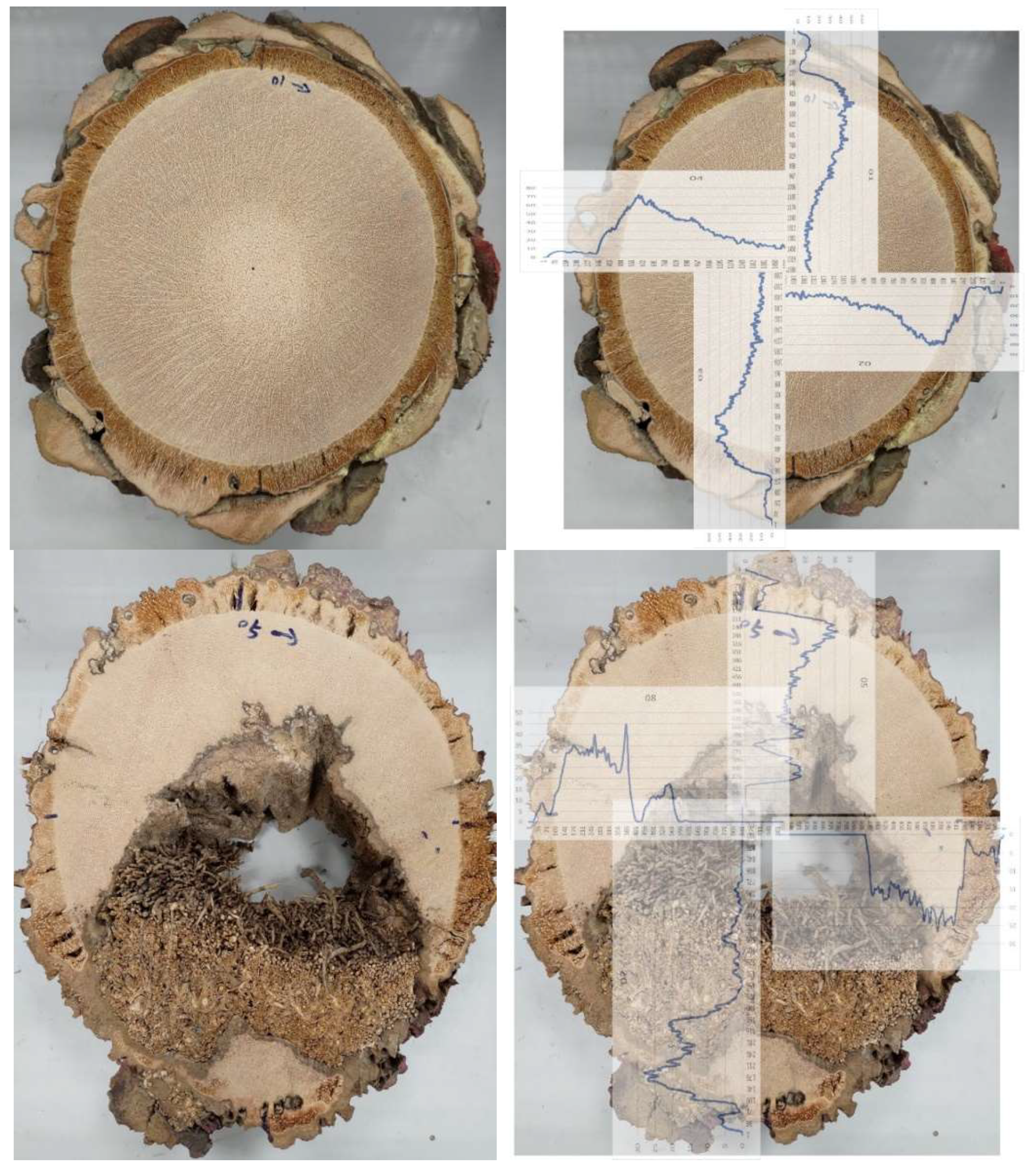 Preprints 150143 g005