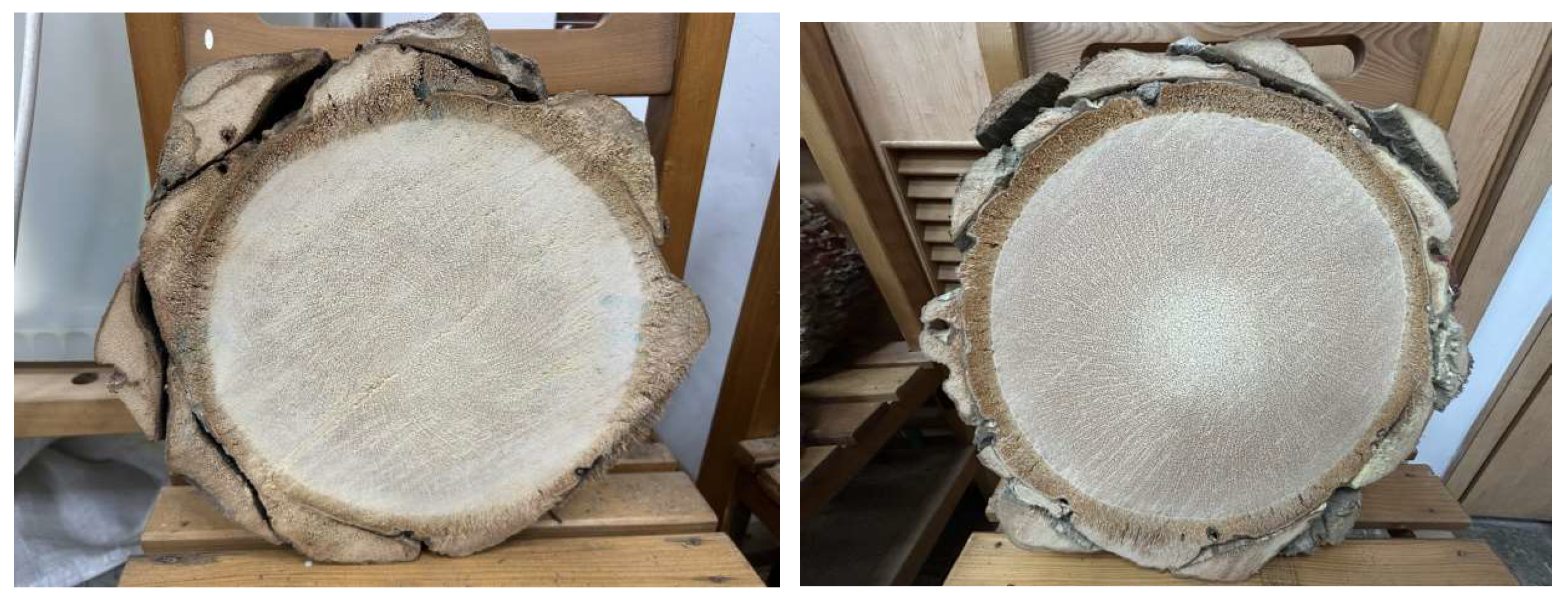 Preprints 150143 g007