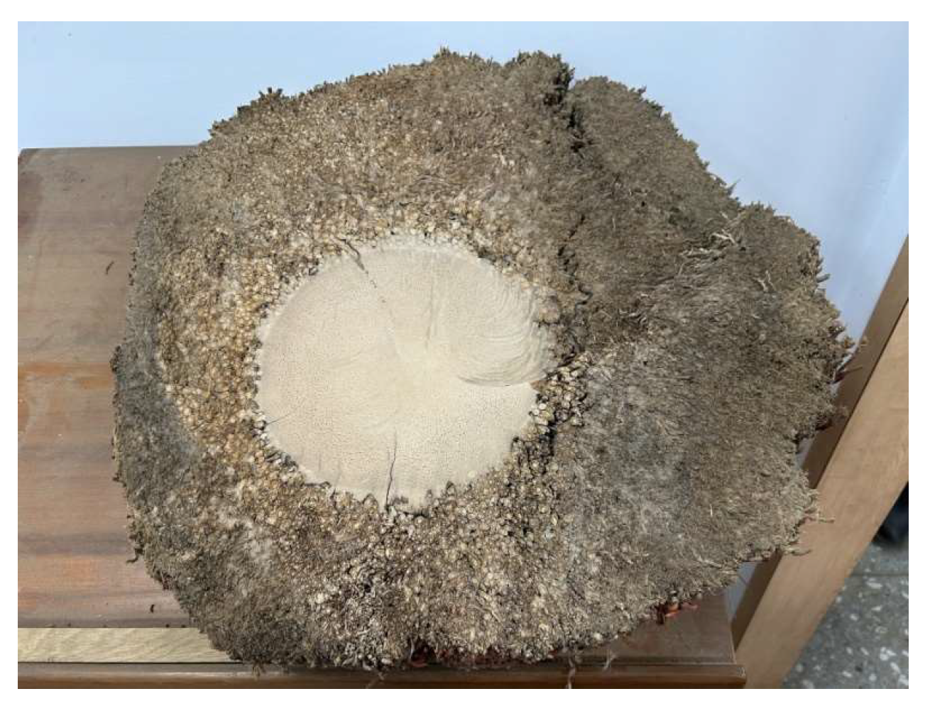 Preprints 150143 g008