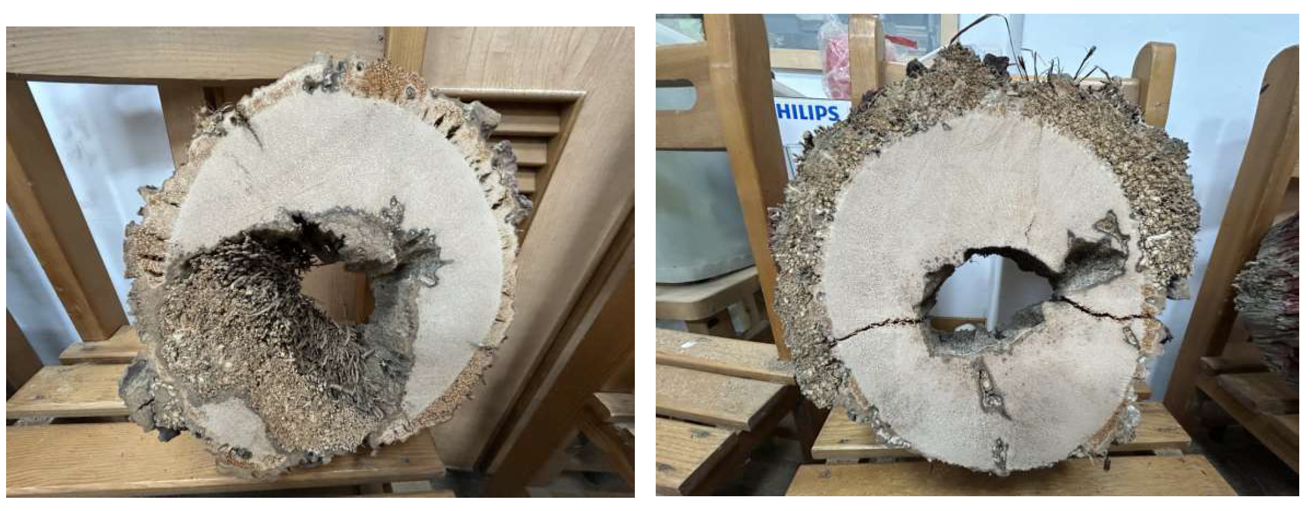 Preprints 150143 g009