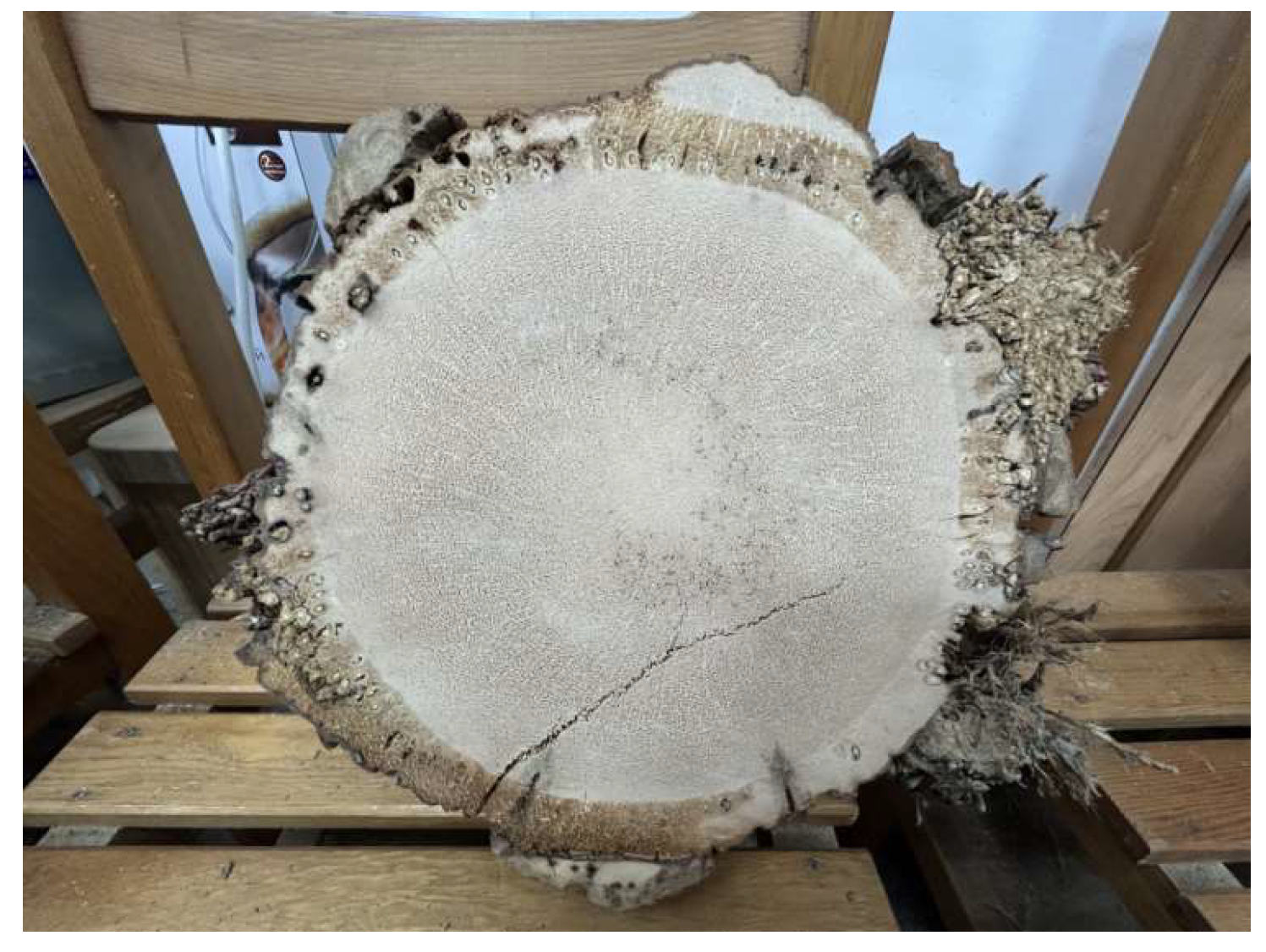 Preprints 150143 g010