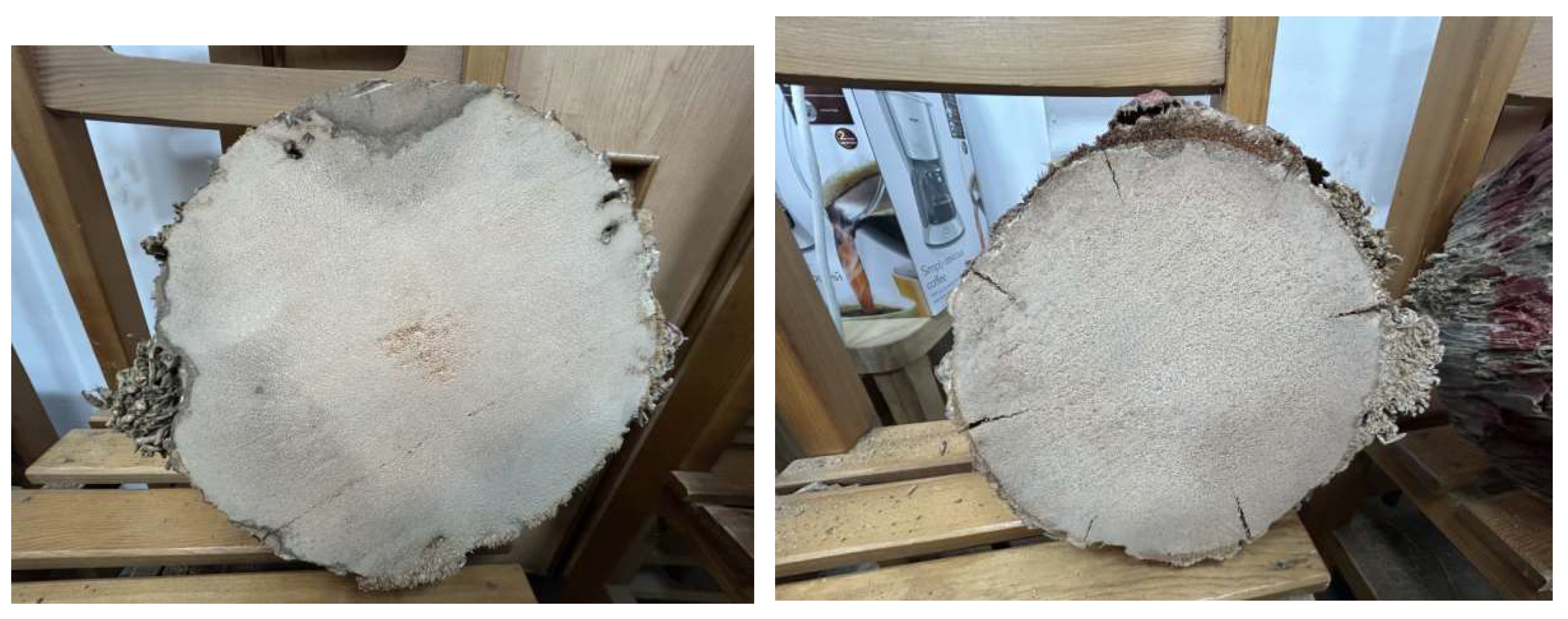 Preprints 150143 g011