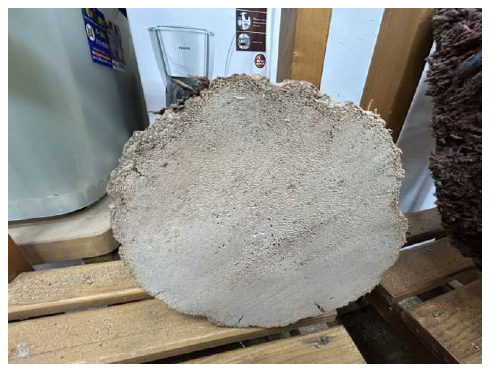 Preprints 150143 g012