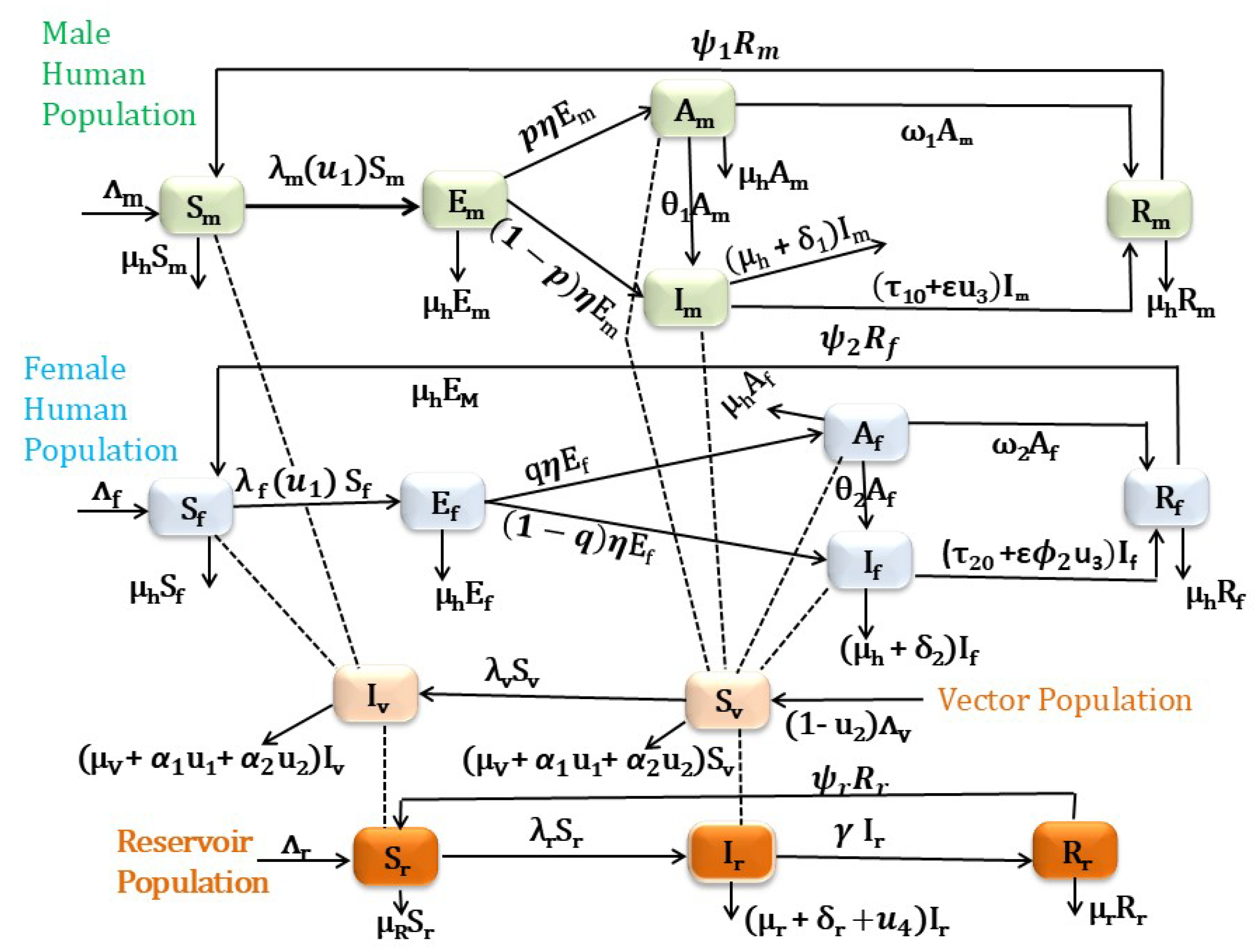 Preprints 156649 g001