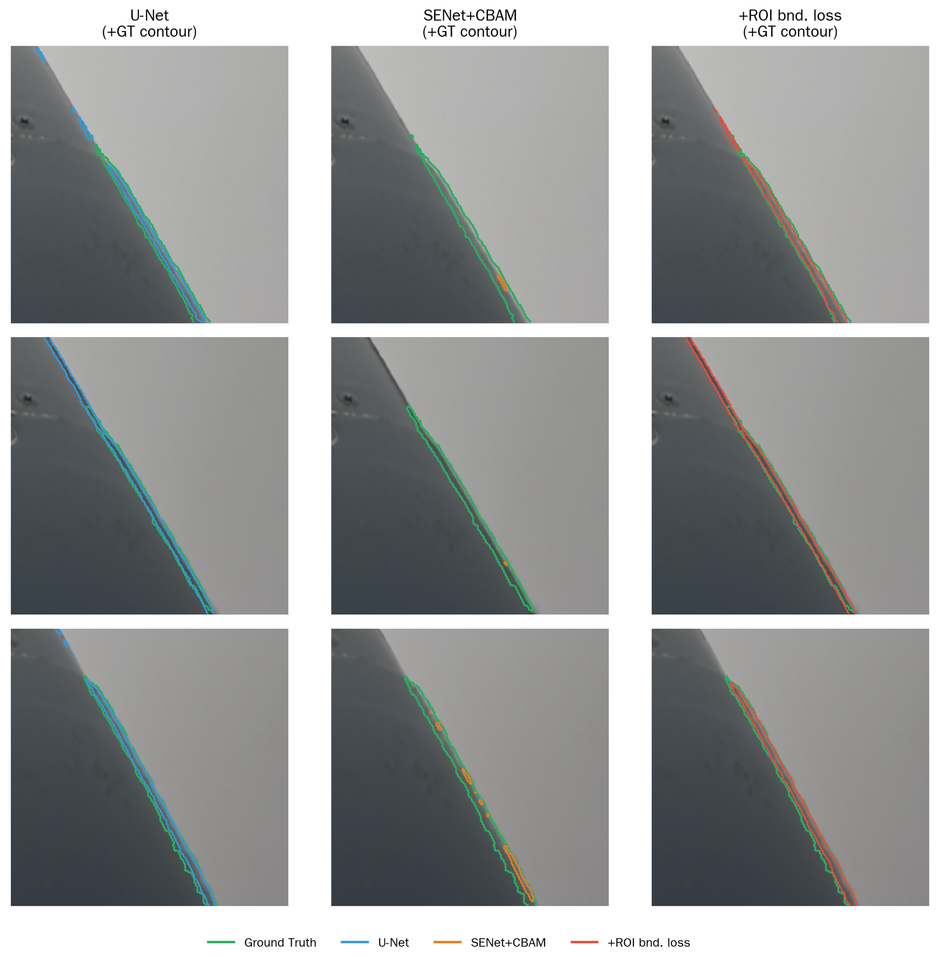 Preprints 230347 g006 Preprints 230347 g006