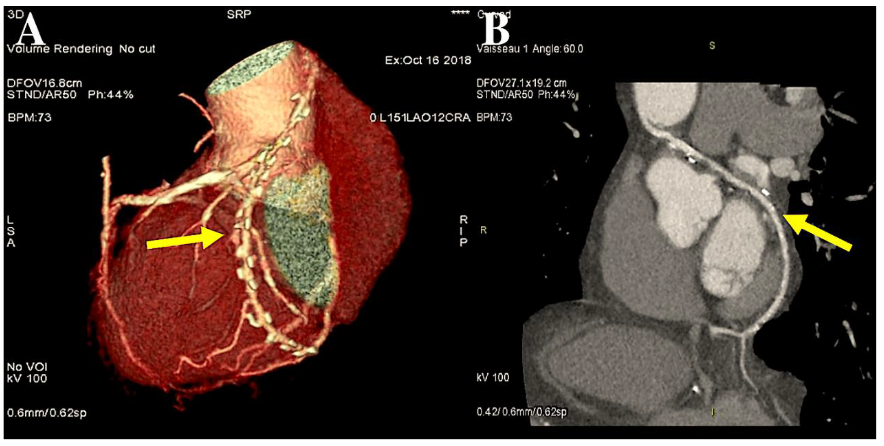 Preprints 138143 g002
