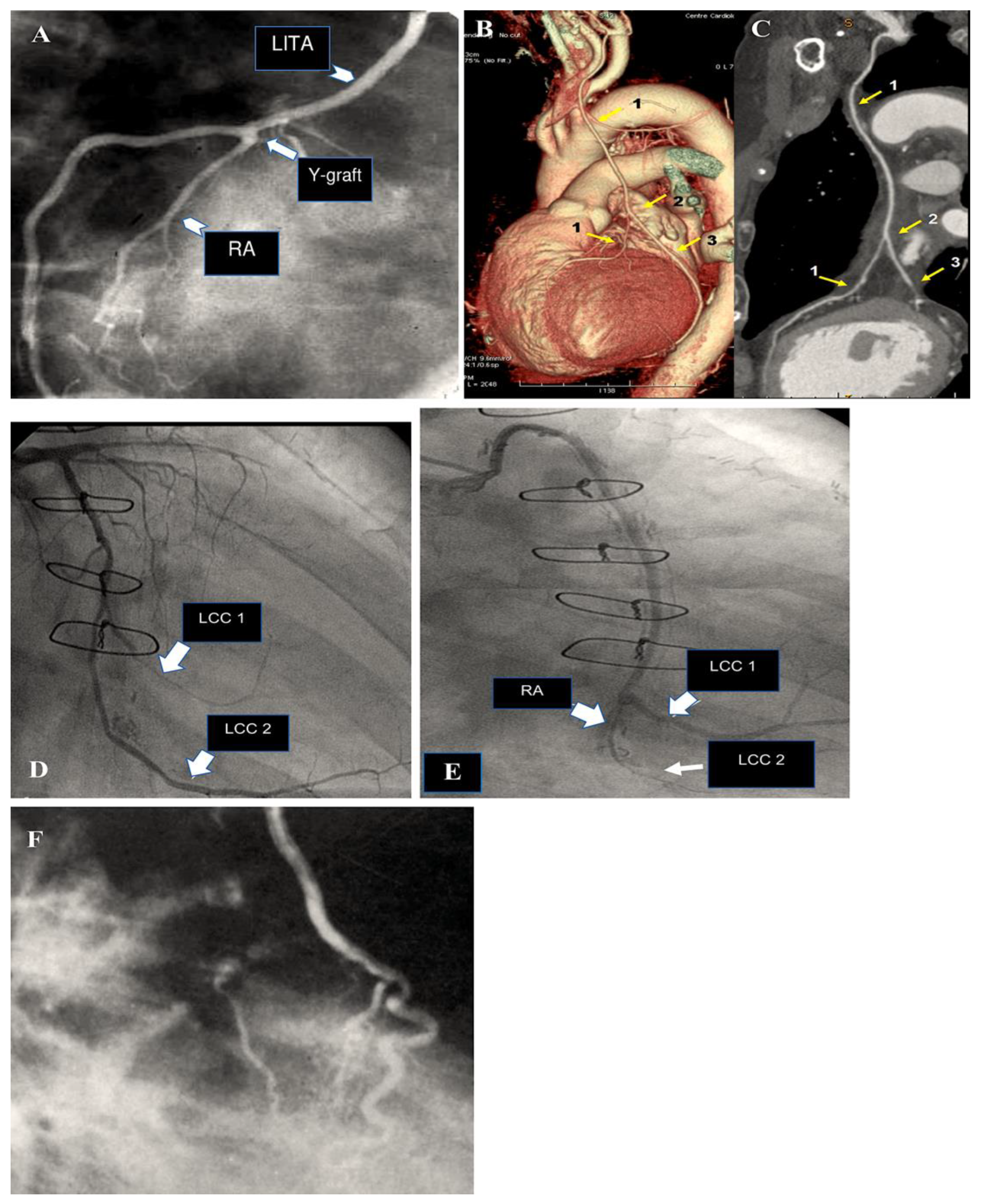 Preprints 138143 g005