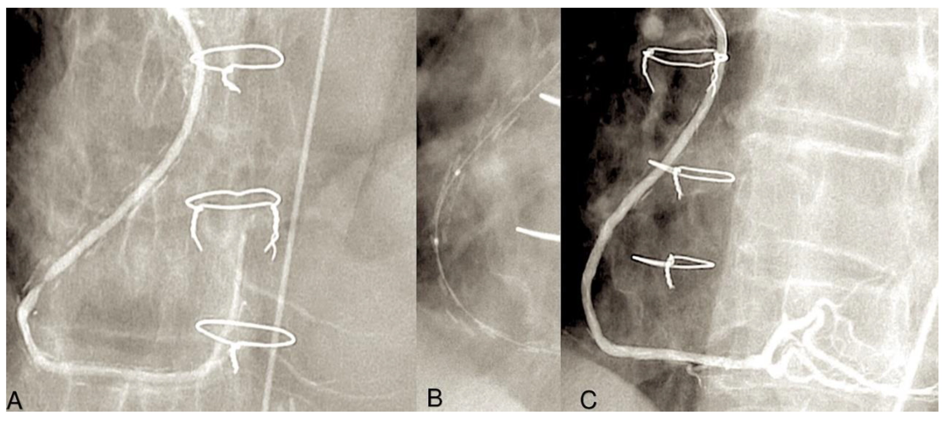 Preprints 138143 g006
