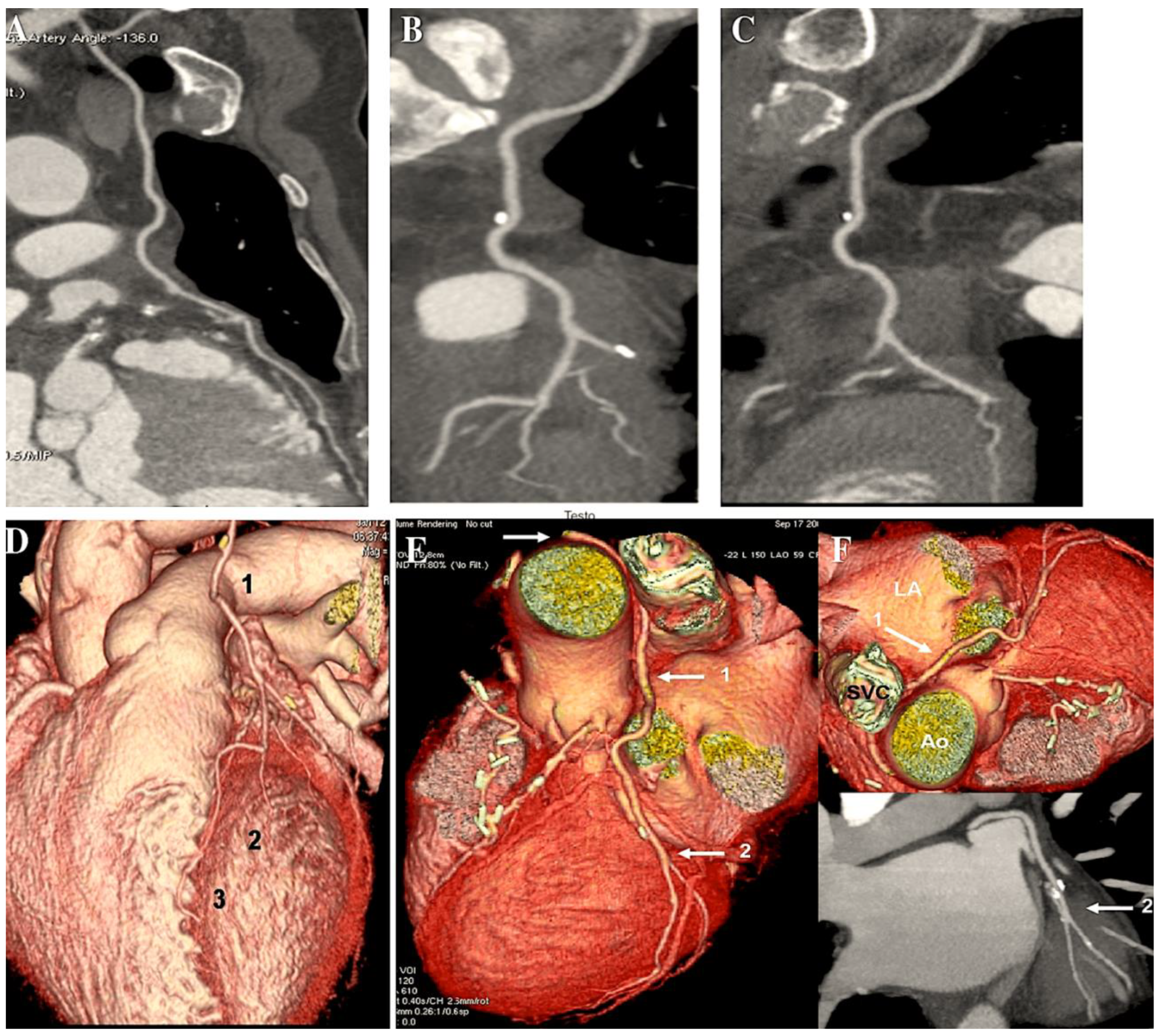 Preprints 138143 g007